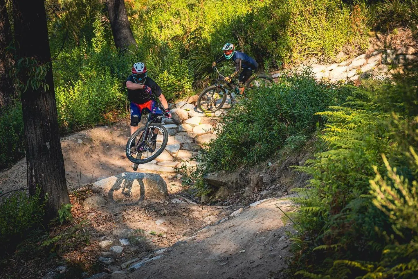 Cycling in BIG4 Tassie Getaway Parks St Helens