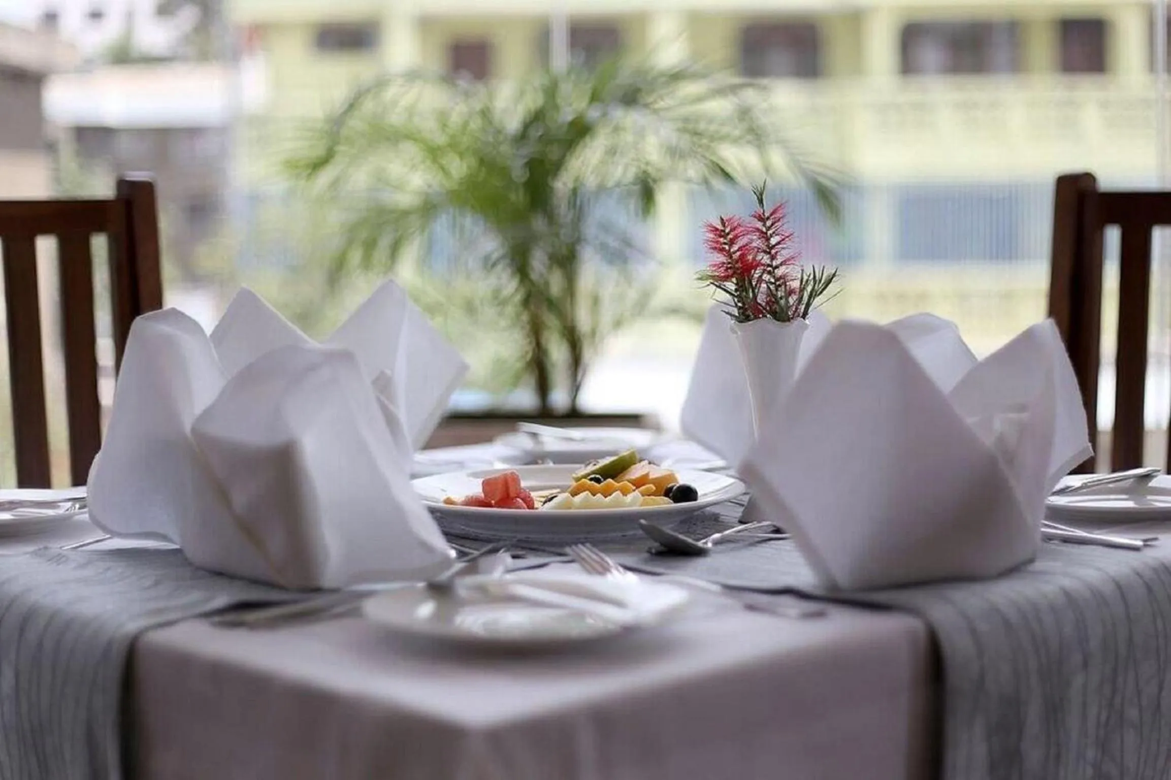 Restaurant/places to eat in Venus Premier Hotel