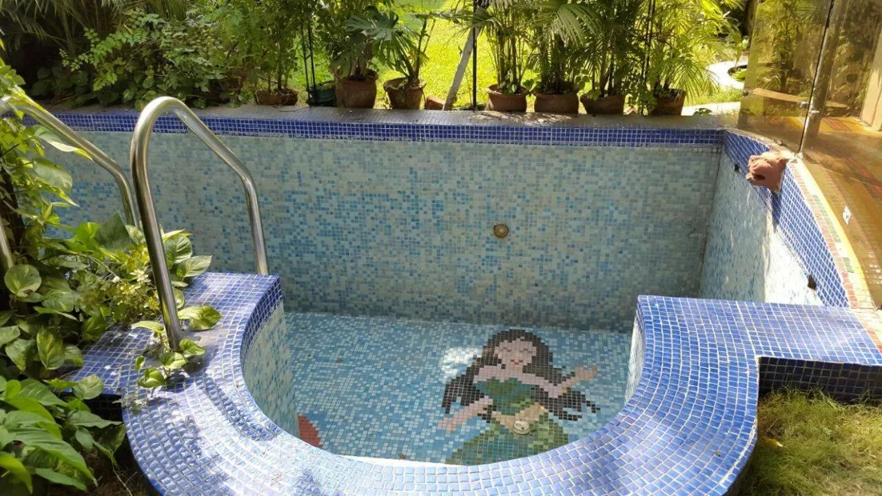 Swimming pool in Petite Homestays