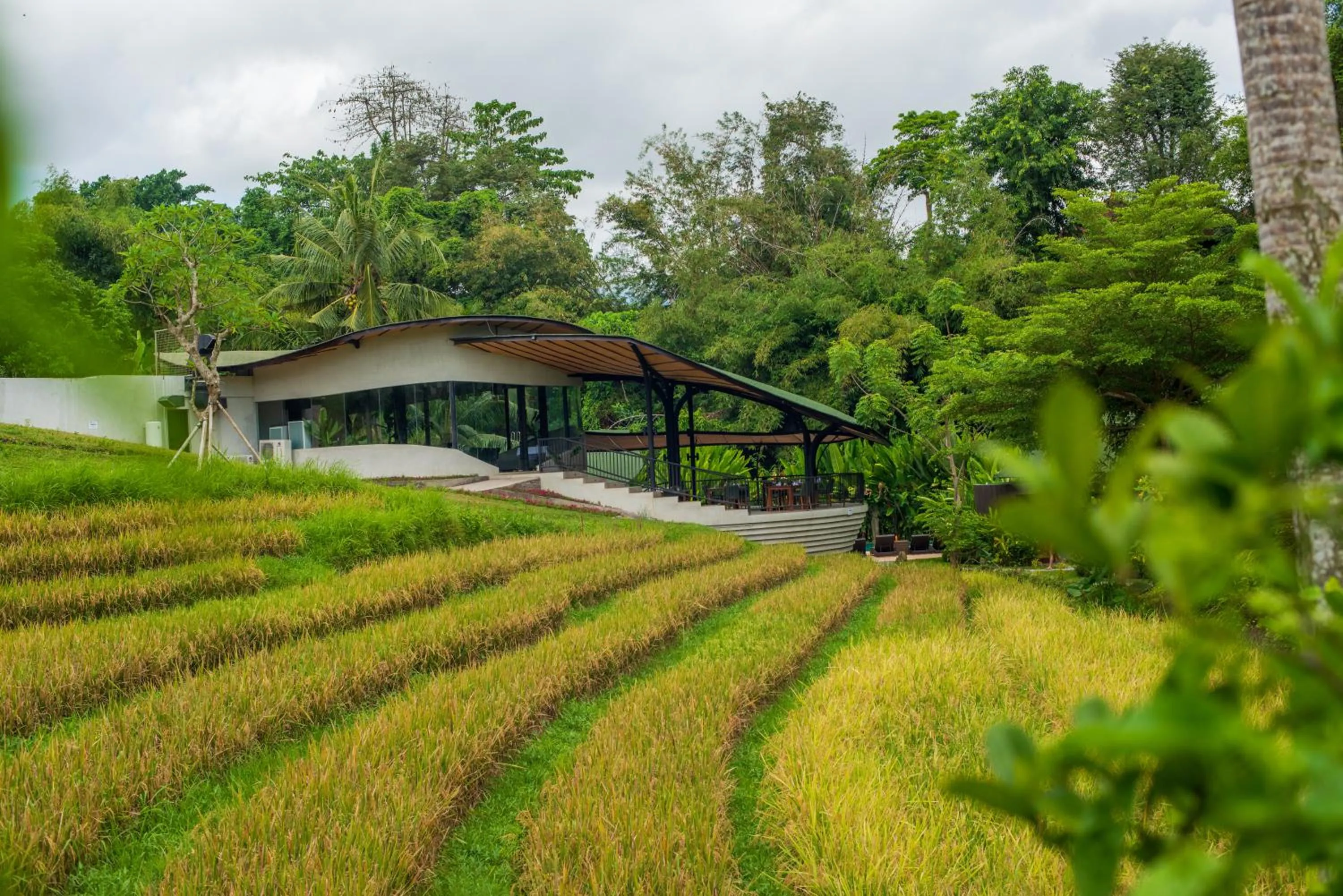 Restaurant/places to eat in De Moksha Eco Friendly Boutique Resort