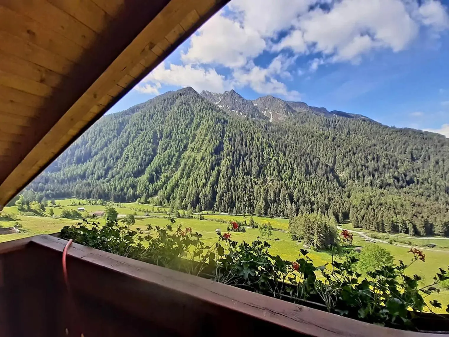 View (from property/room) in Gasthof Innerwalten