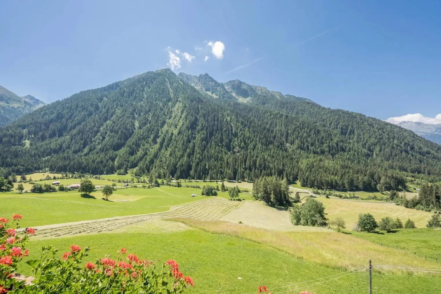 View (from property/room) in Gasthof Innerwalten