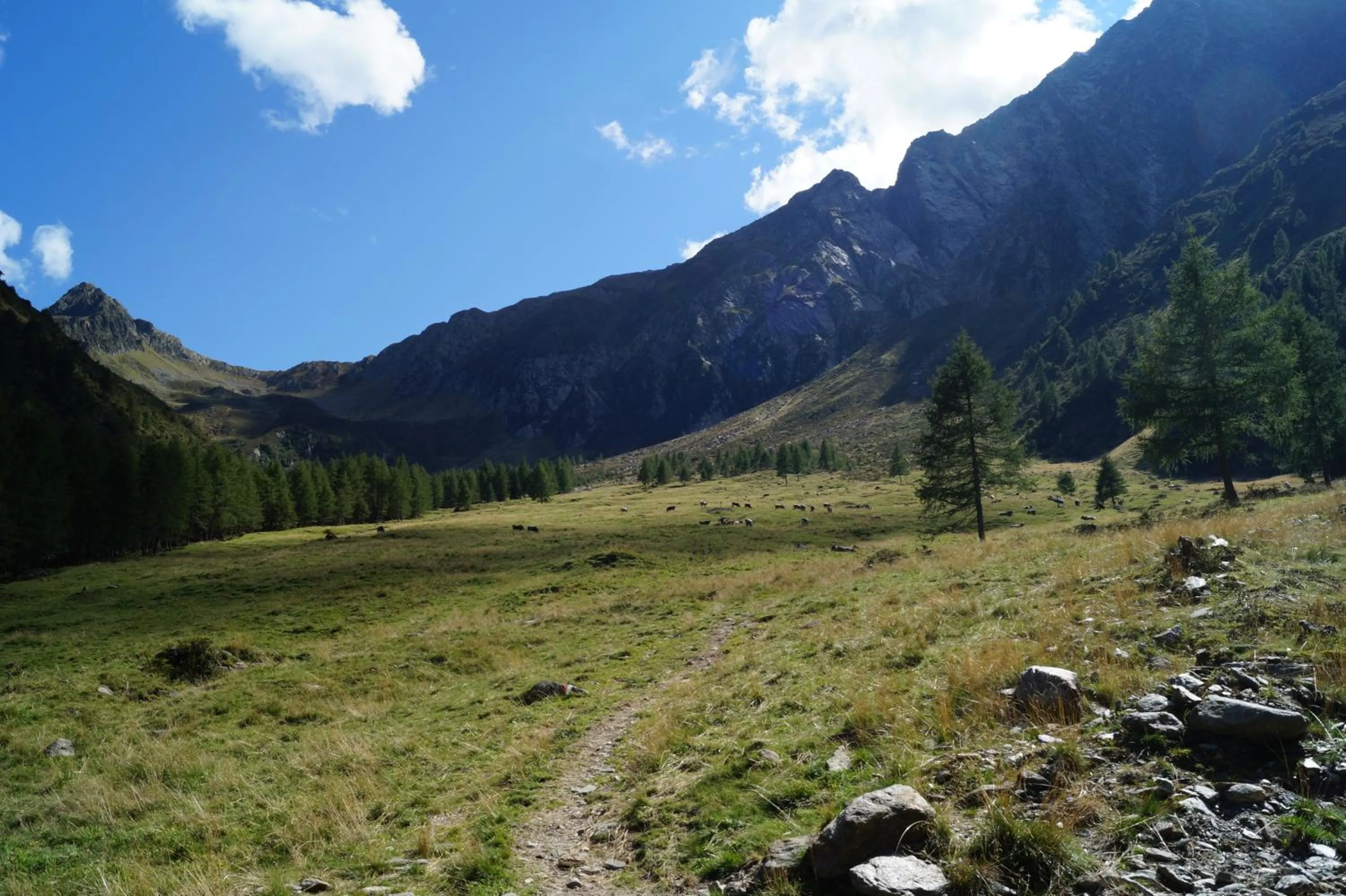 Day in Gasthof Innerwalten