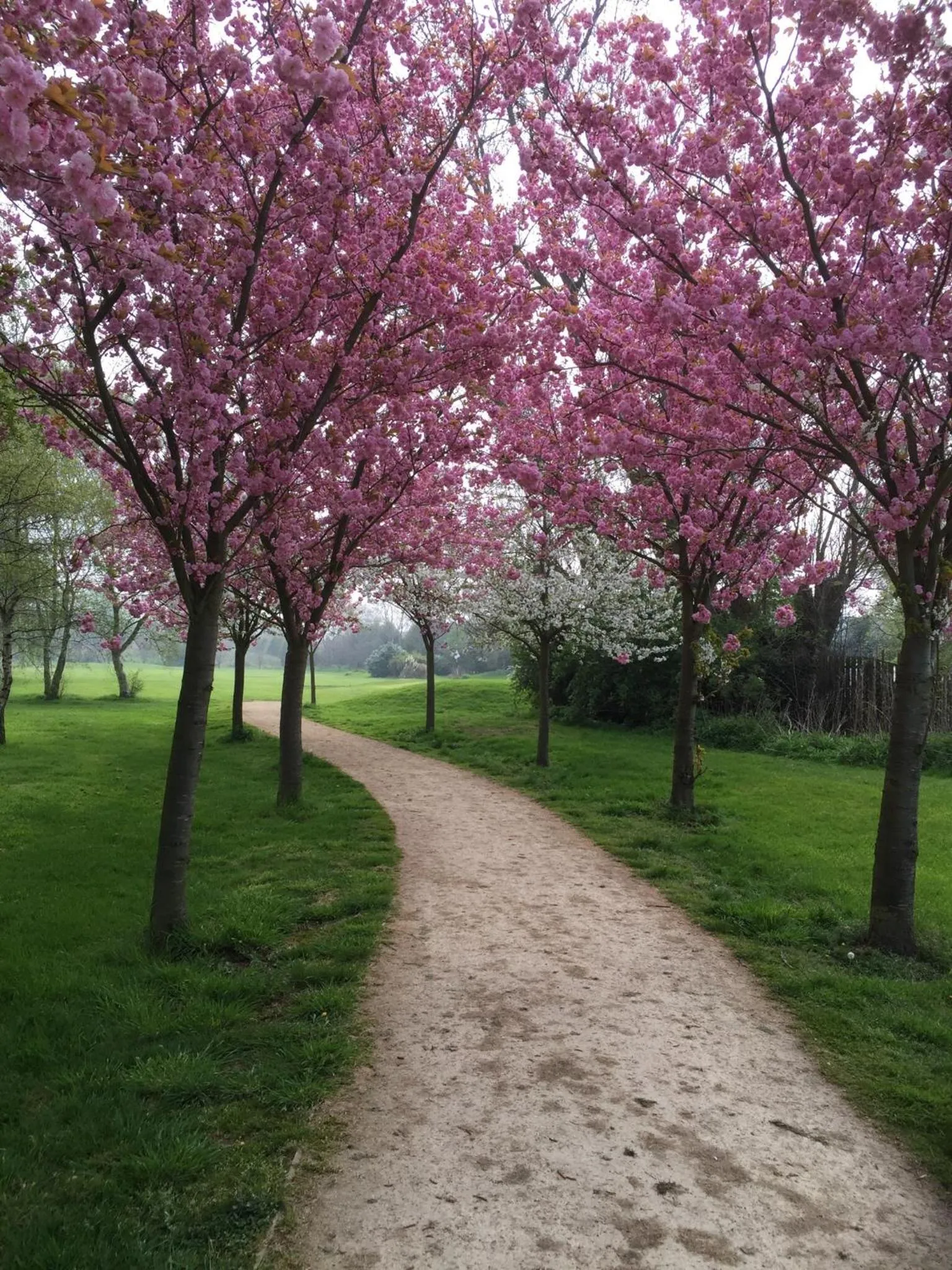 Property building in The Lodge at Ruddington