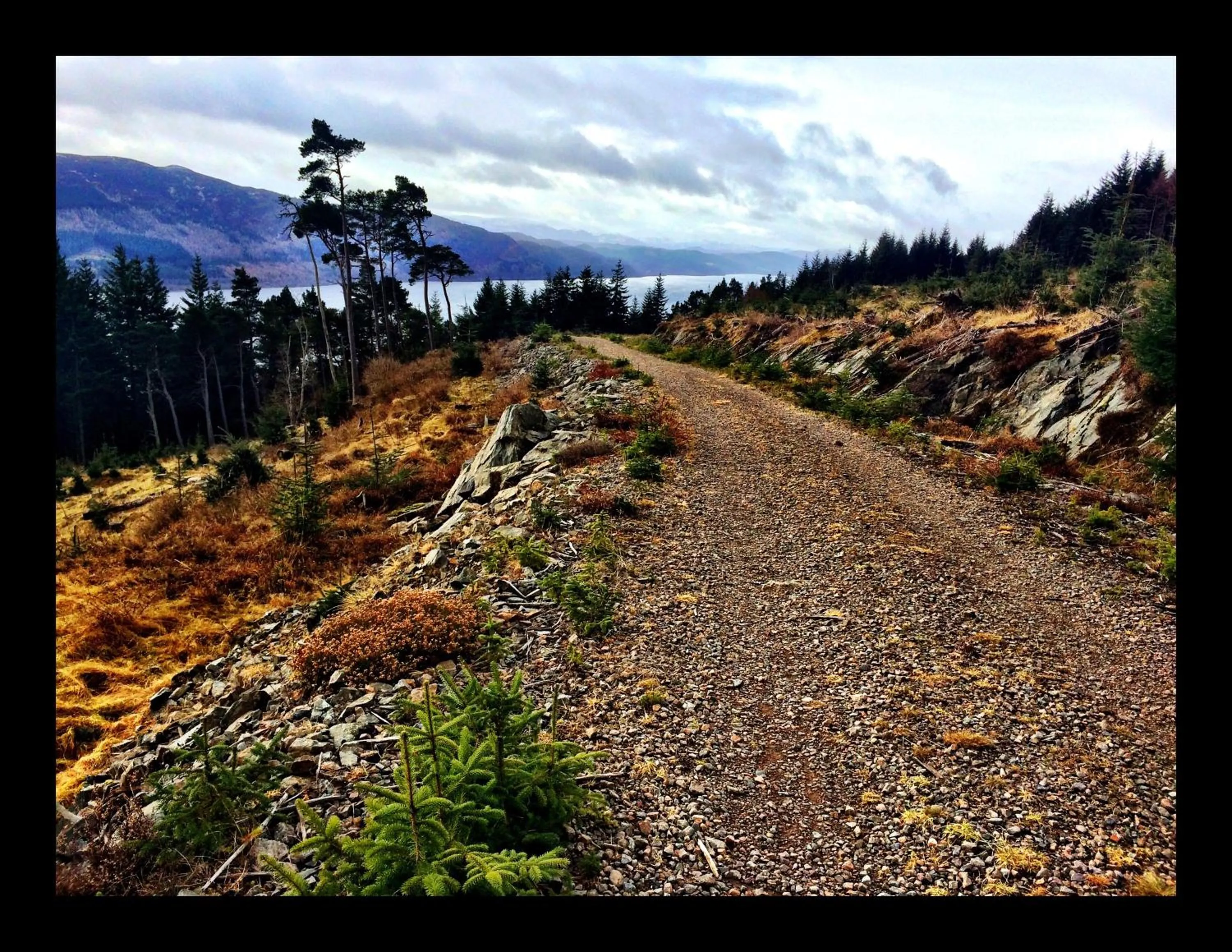 Property building in Drumbuie Farm B&B