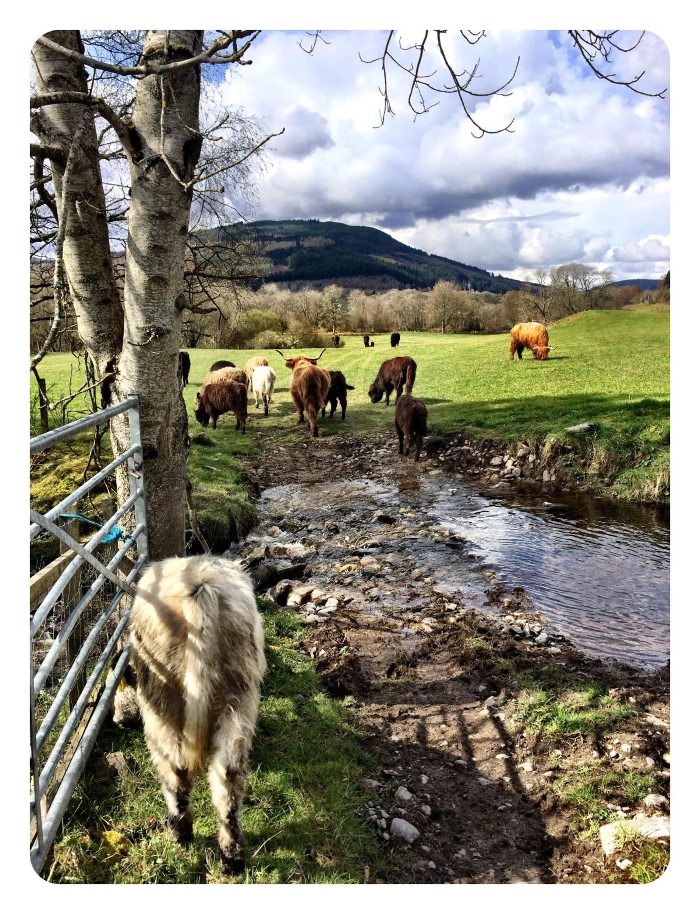 Property building in Drumbuie Farm B&B