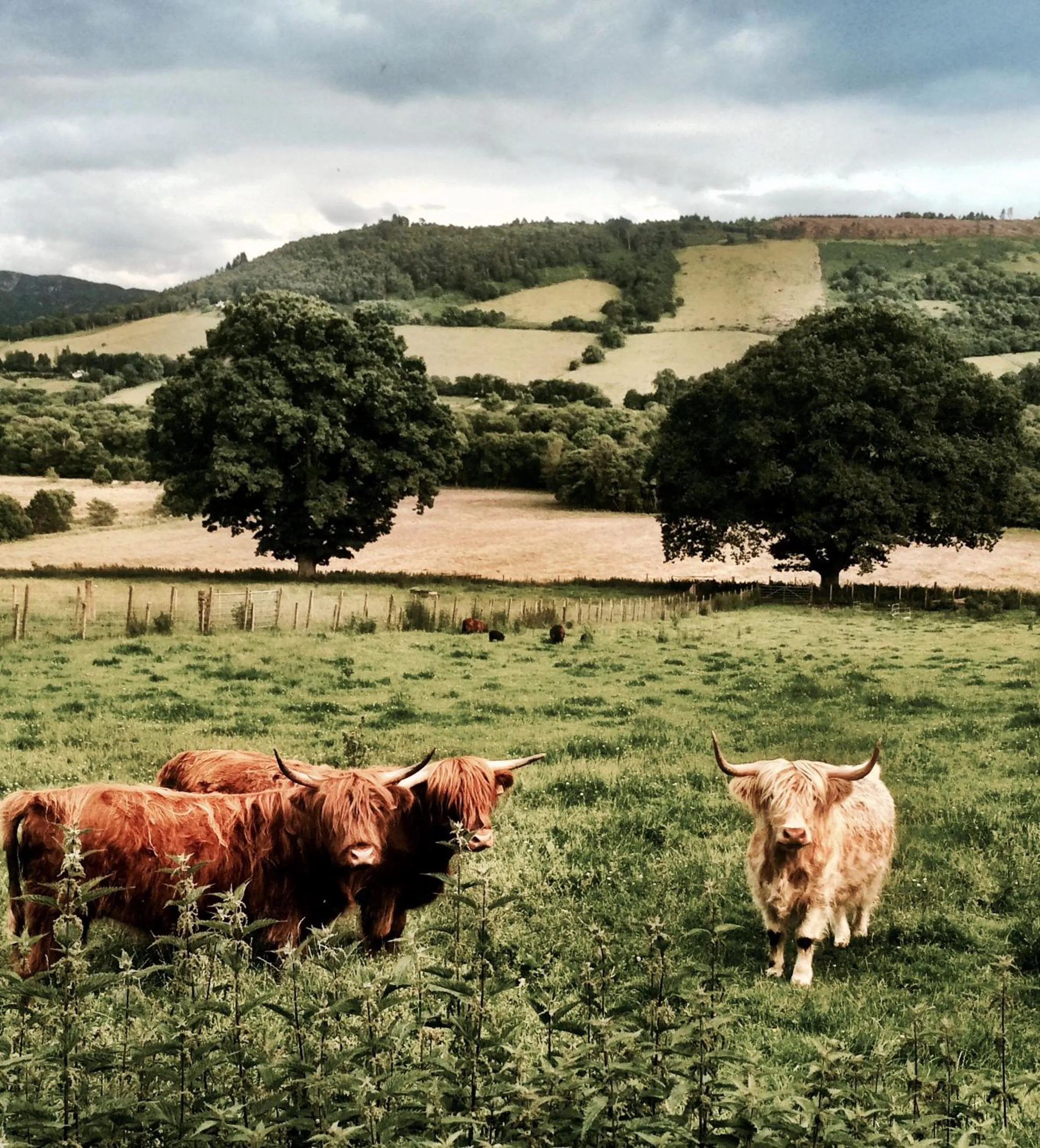 Property building in Drumbuie Farm B&B