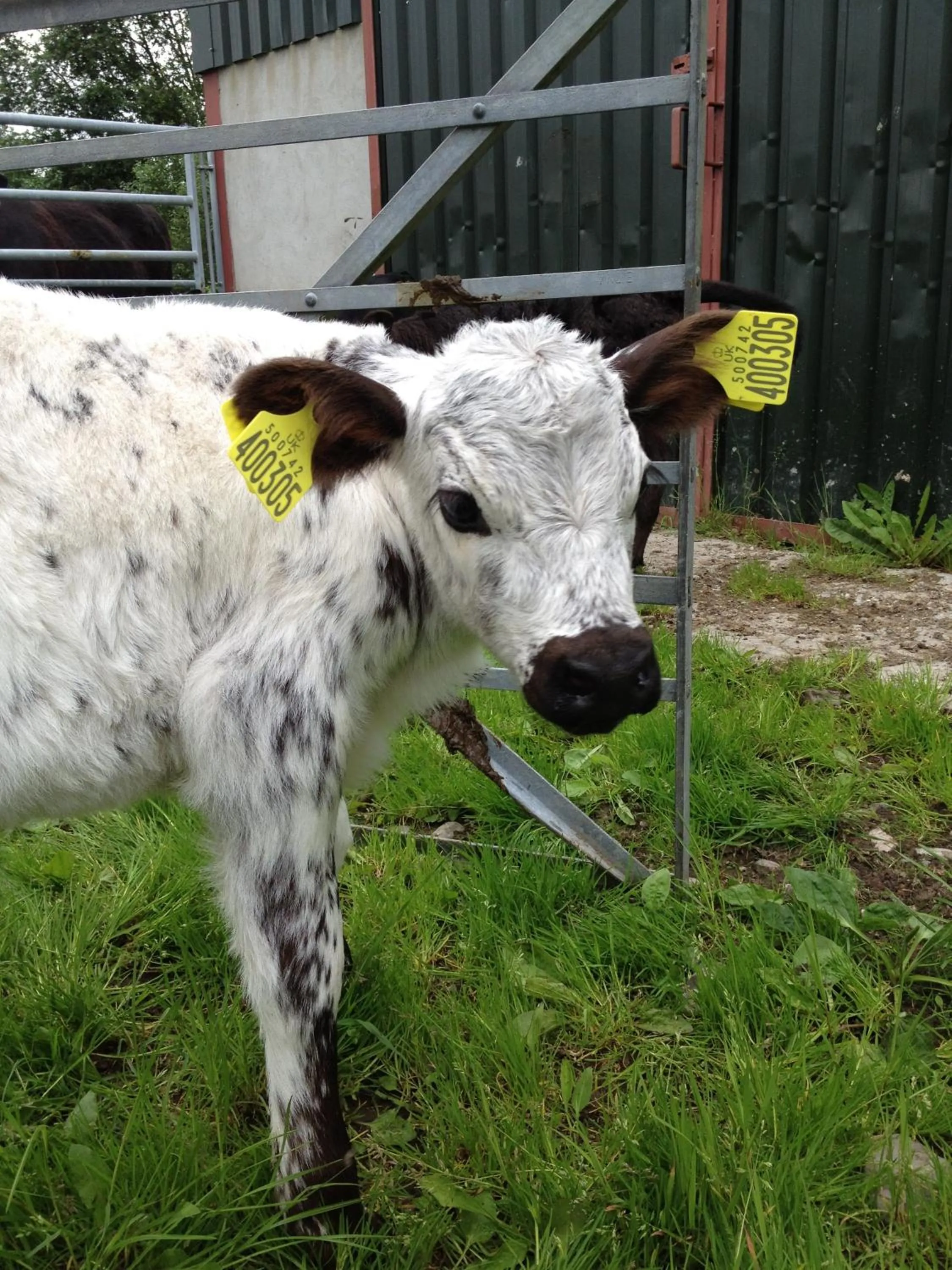 Property building in Drumbuie Farm B&B