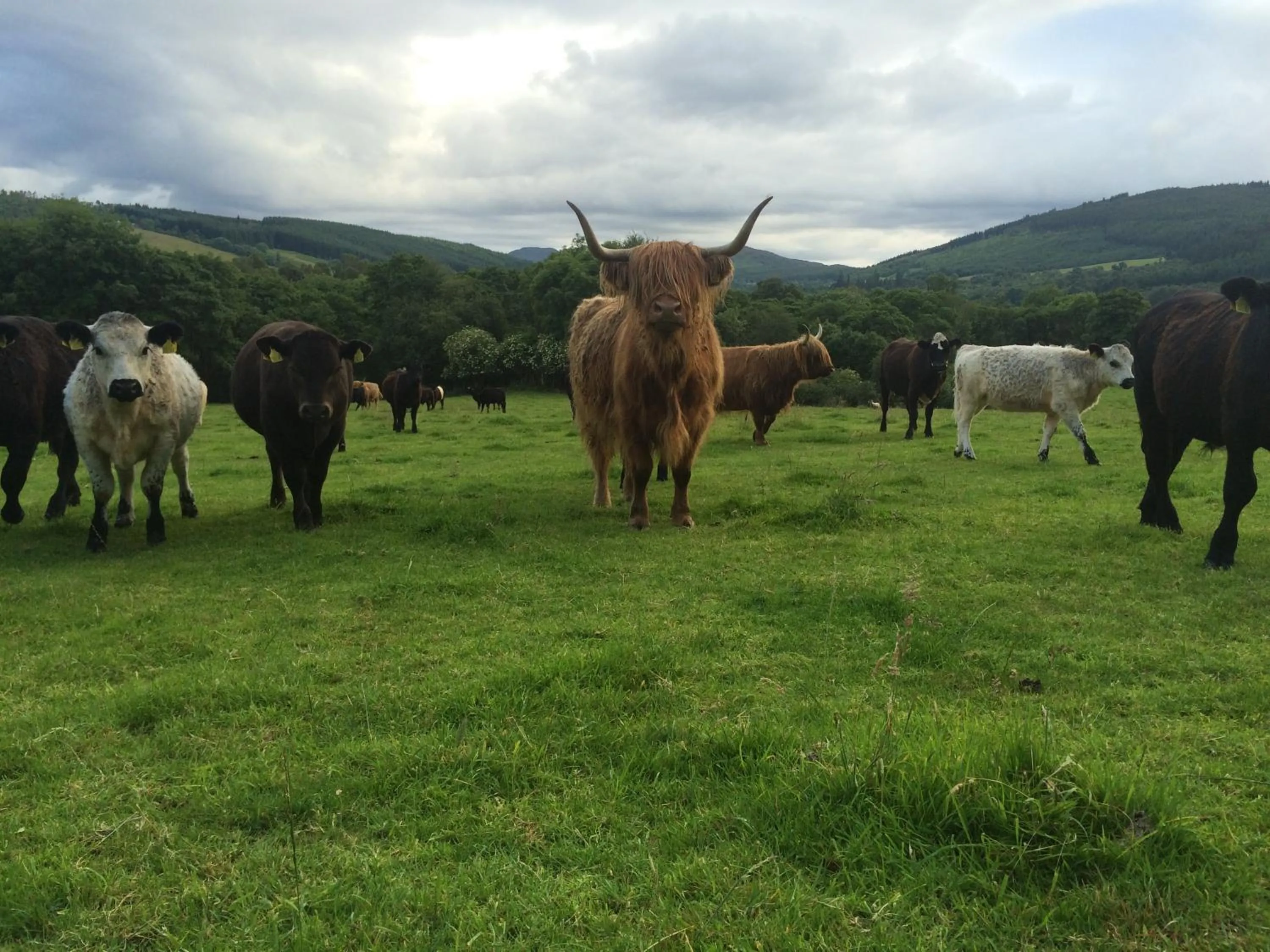 Property building in Drumbuie Farm B&B