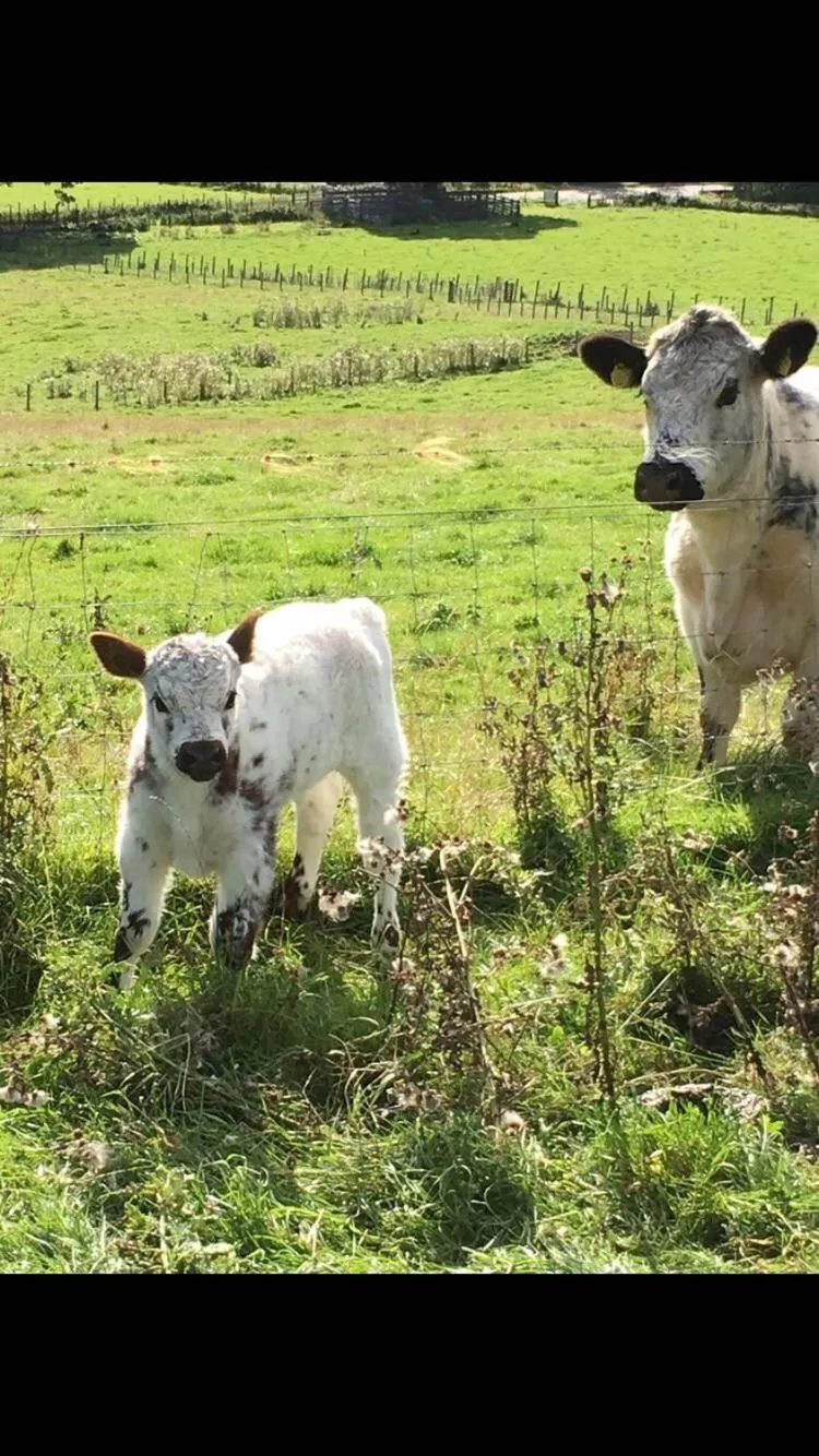Property building in Drumbuie Farm B&B
