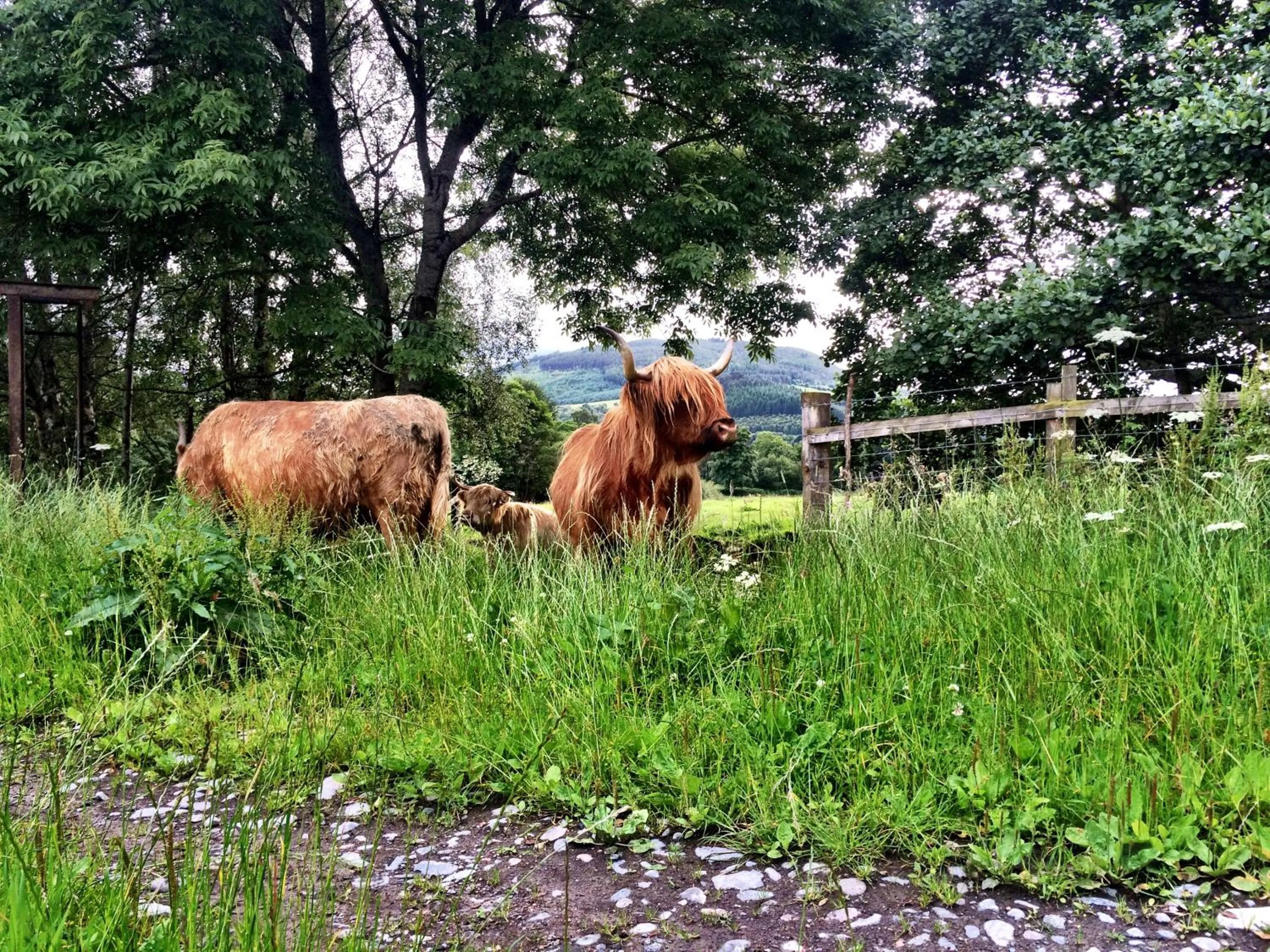 Property building in Drumbuie Farm B&B