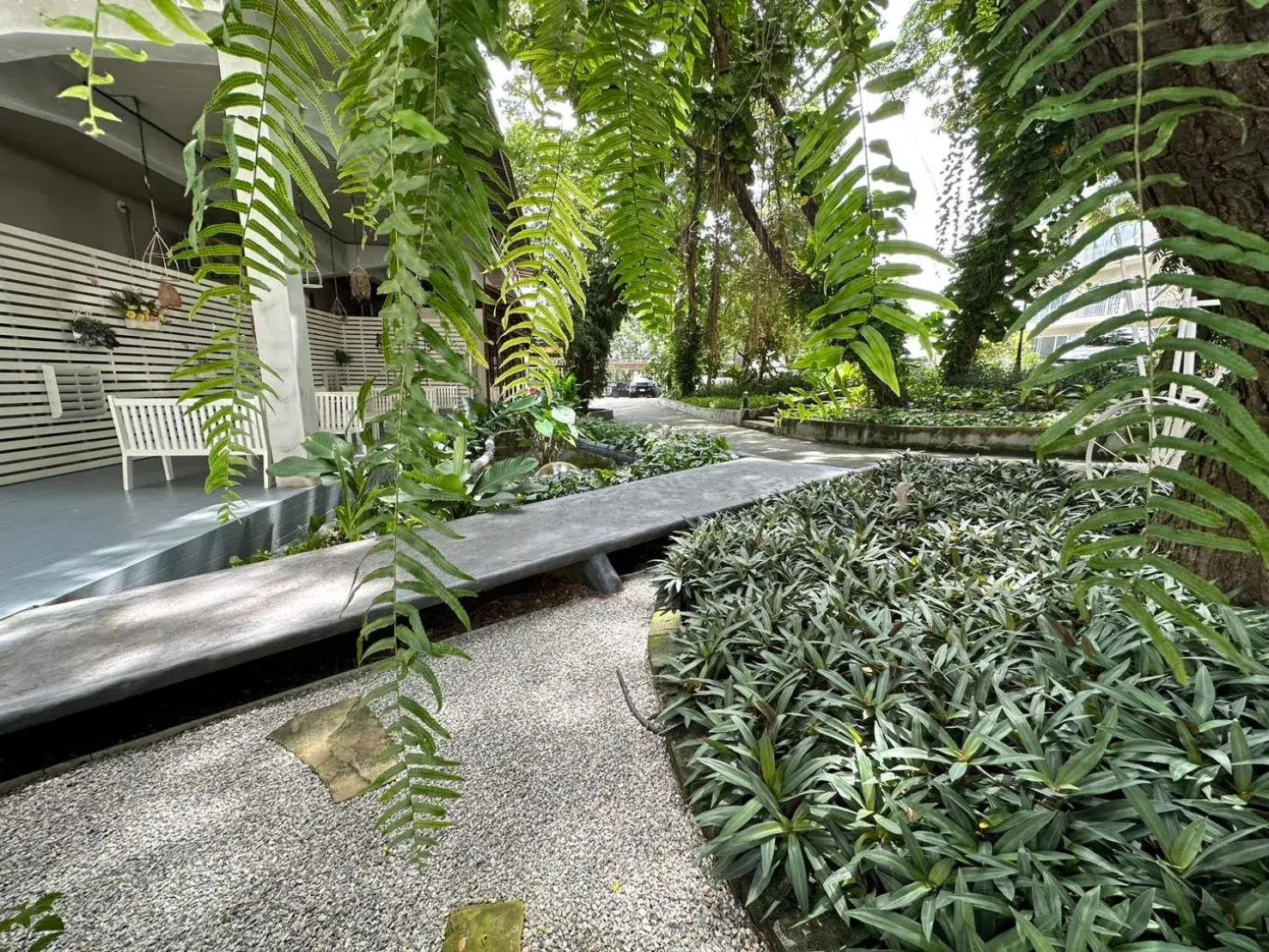 Garden view in Rattana View Garden view in Rattana View