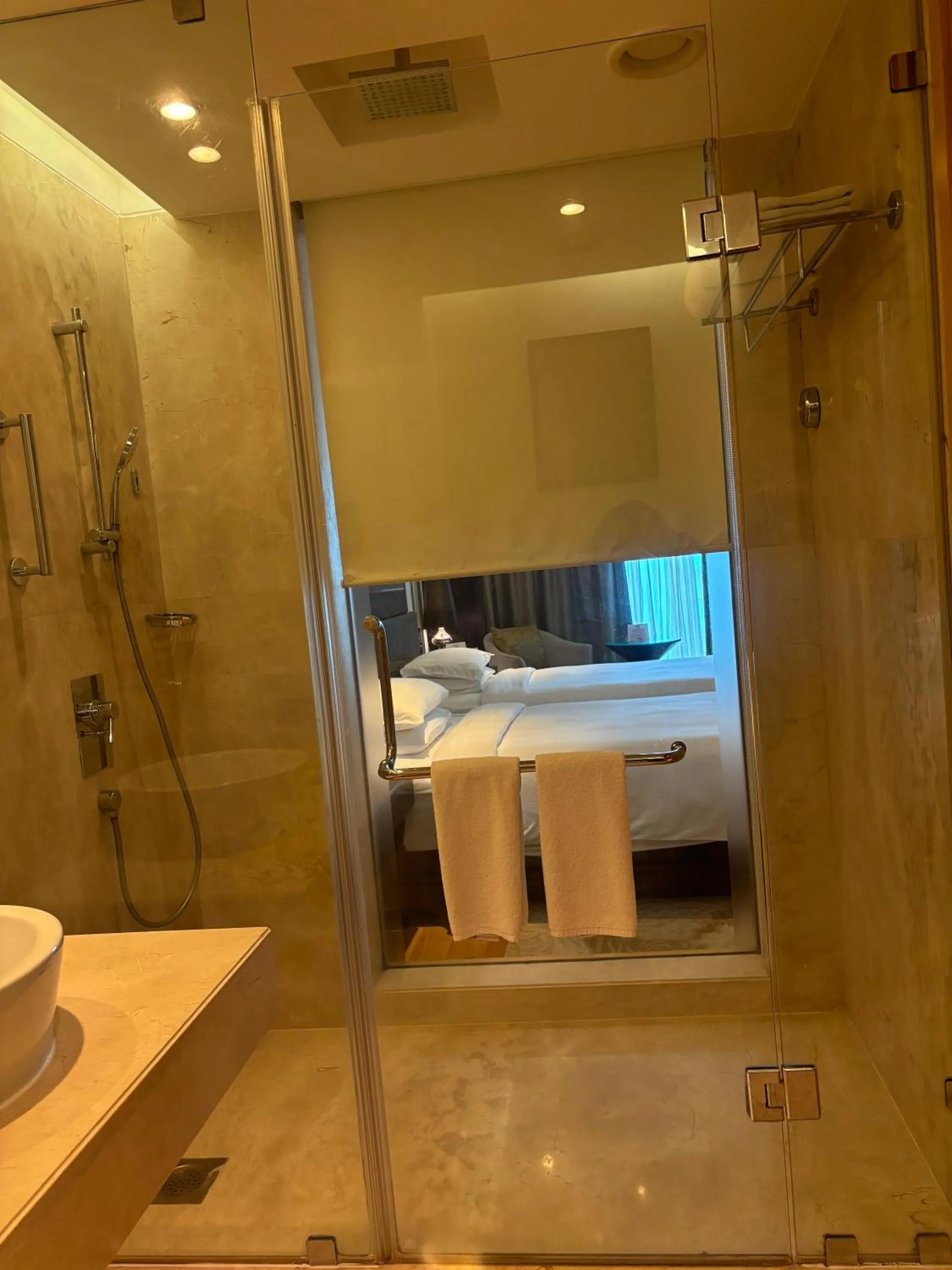 Shower in Pride Plaza Hotel, Aerocity New Delhi