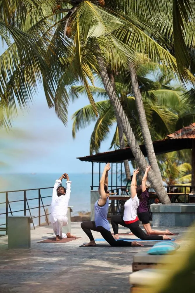 Activities in 36 Palms Boutique Retreat