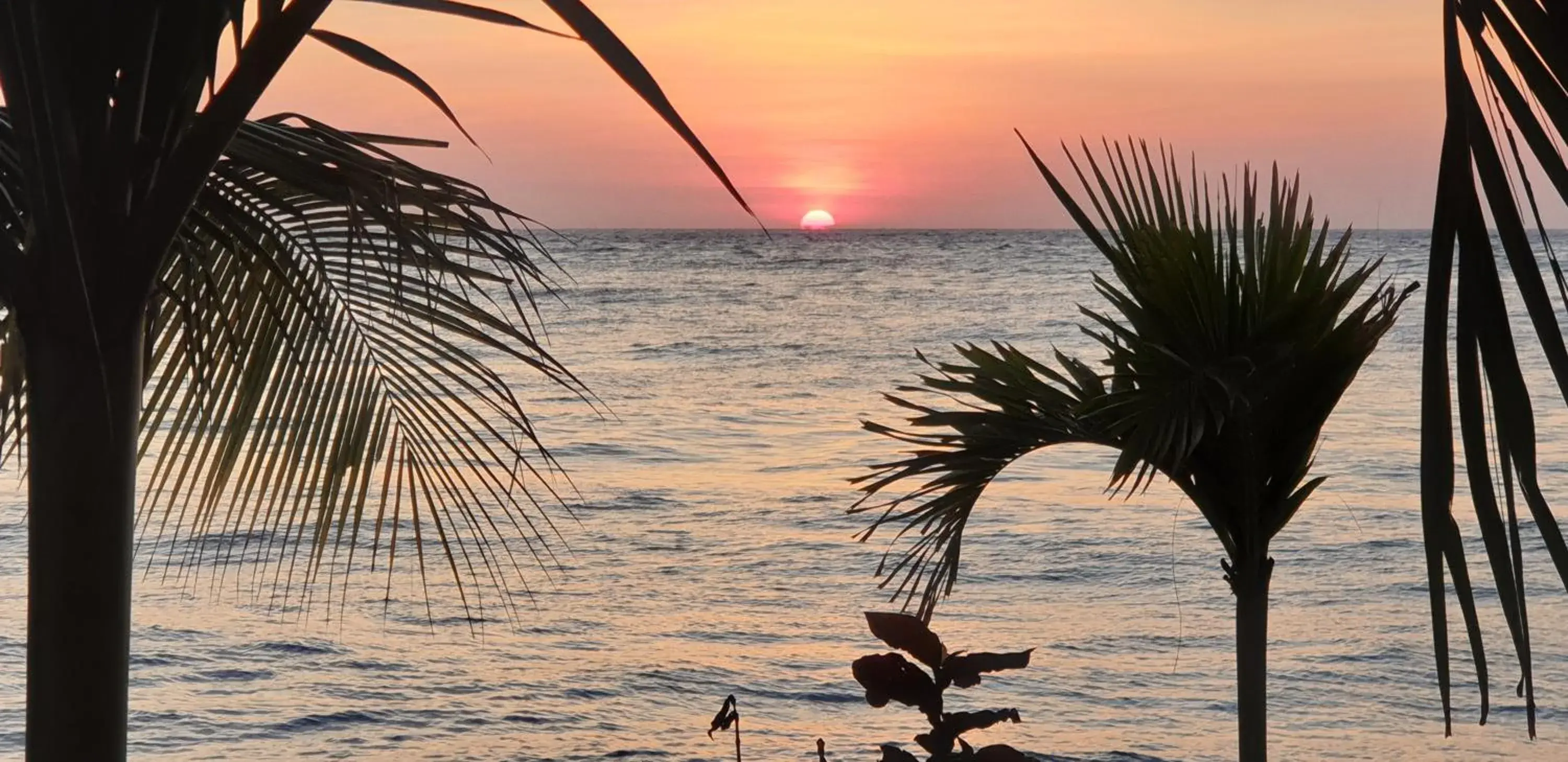 Sea view in Nalini Resort Sea view in Nalini Resort