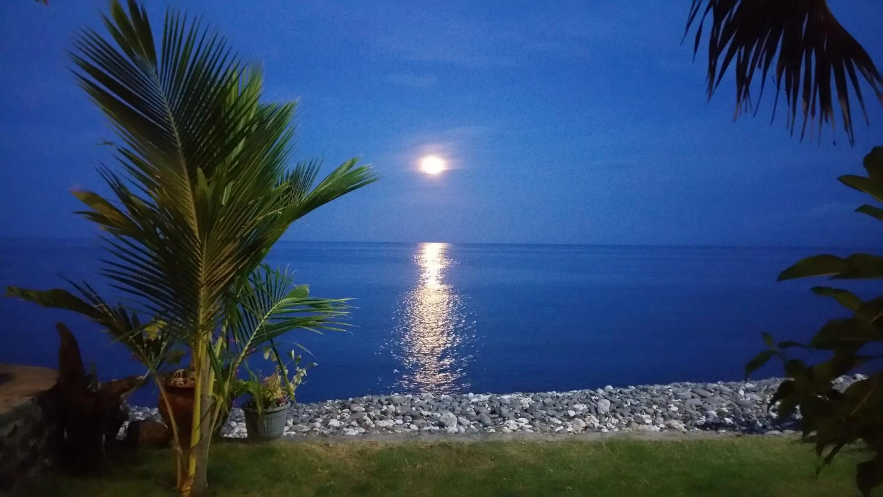 Other in Nalini Resort