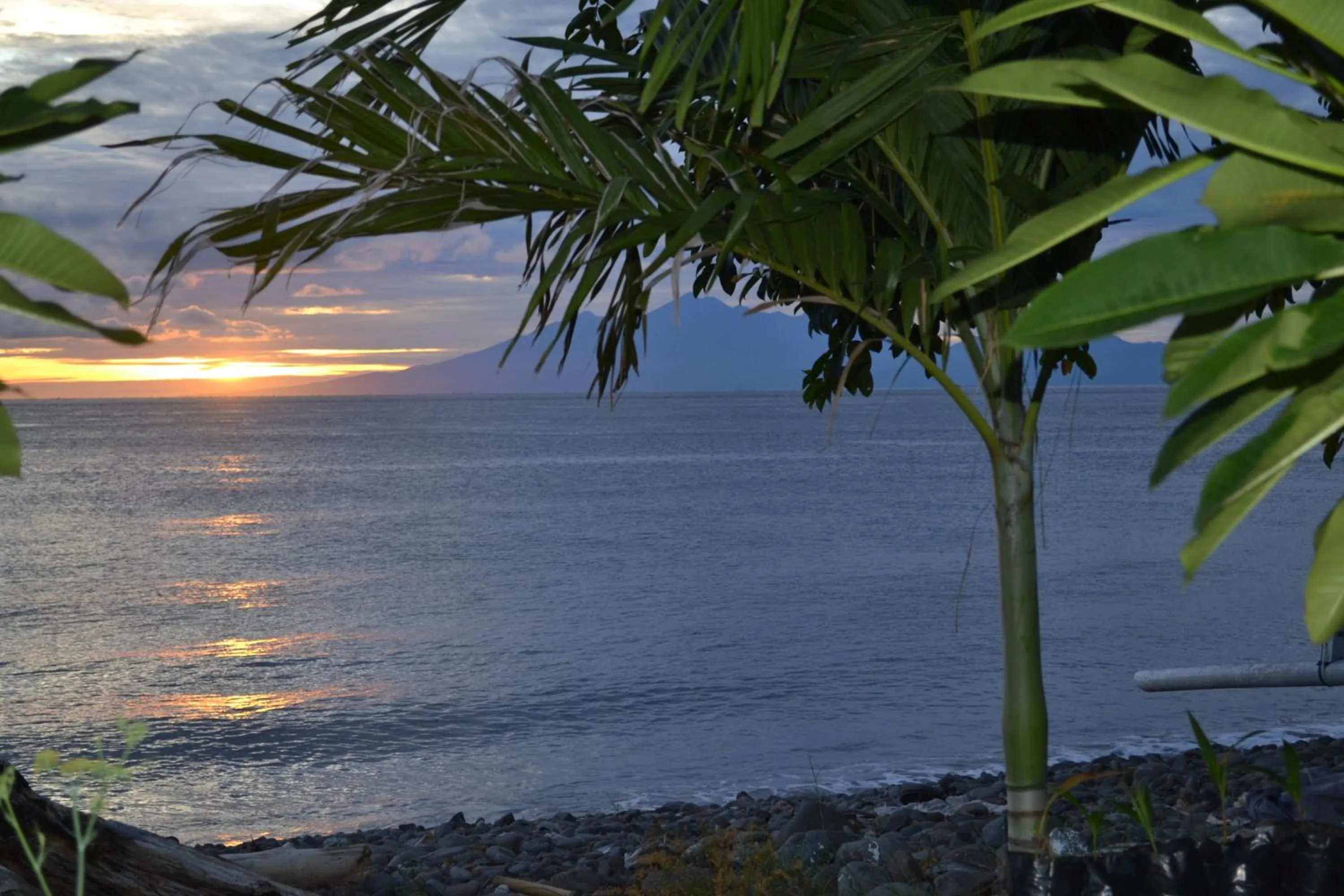 Beach in Nalini Resort
