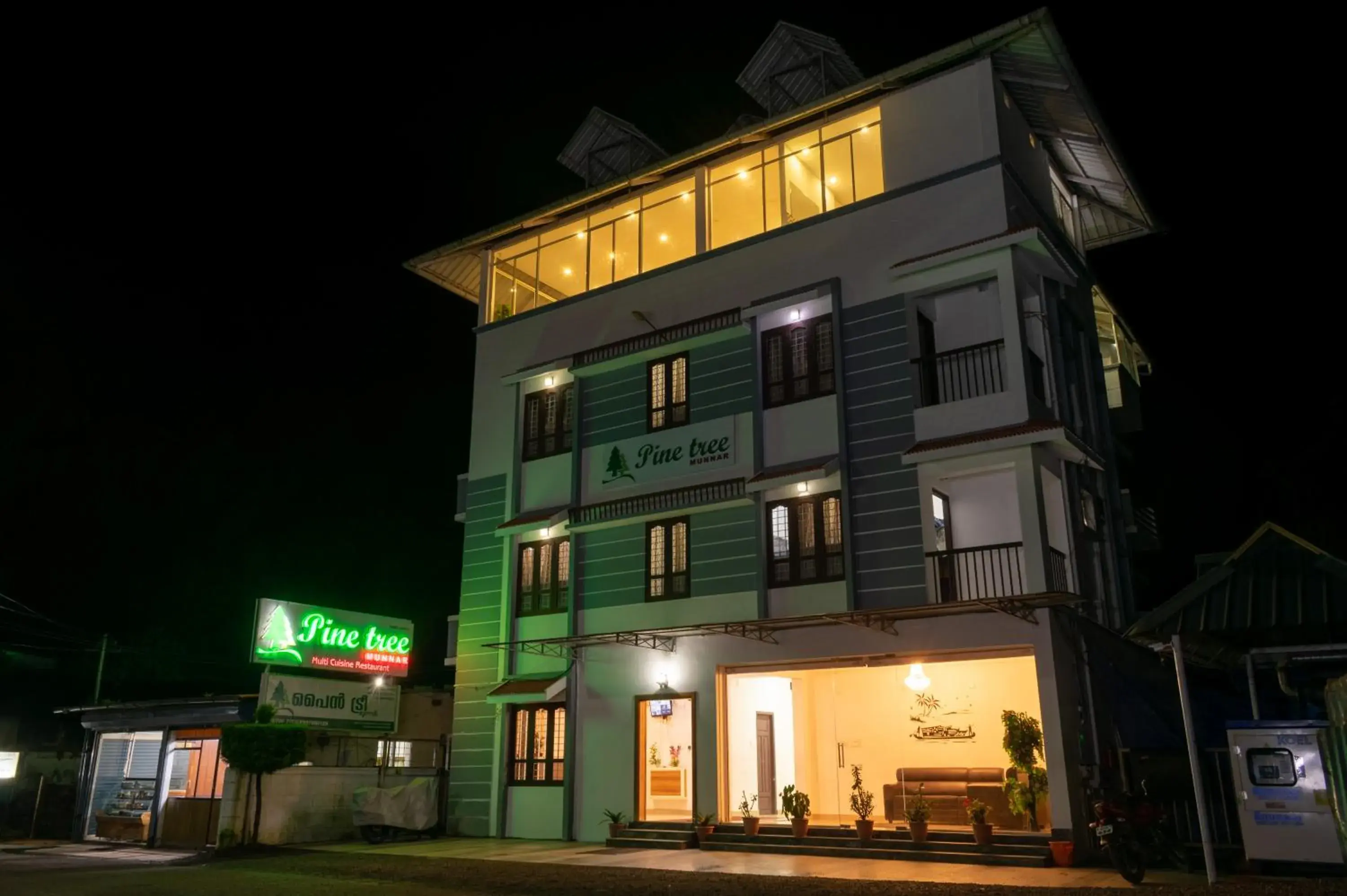 Pine Tree Munnar Pine Tree Munnar