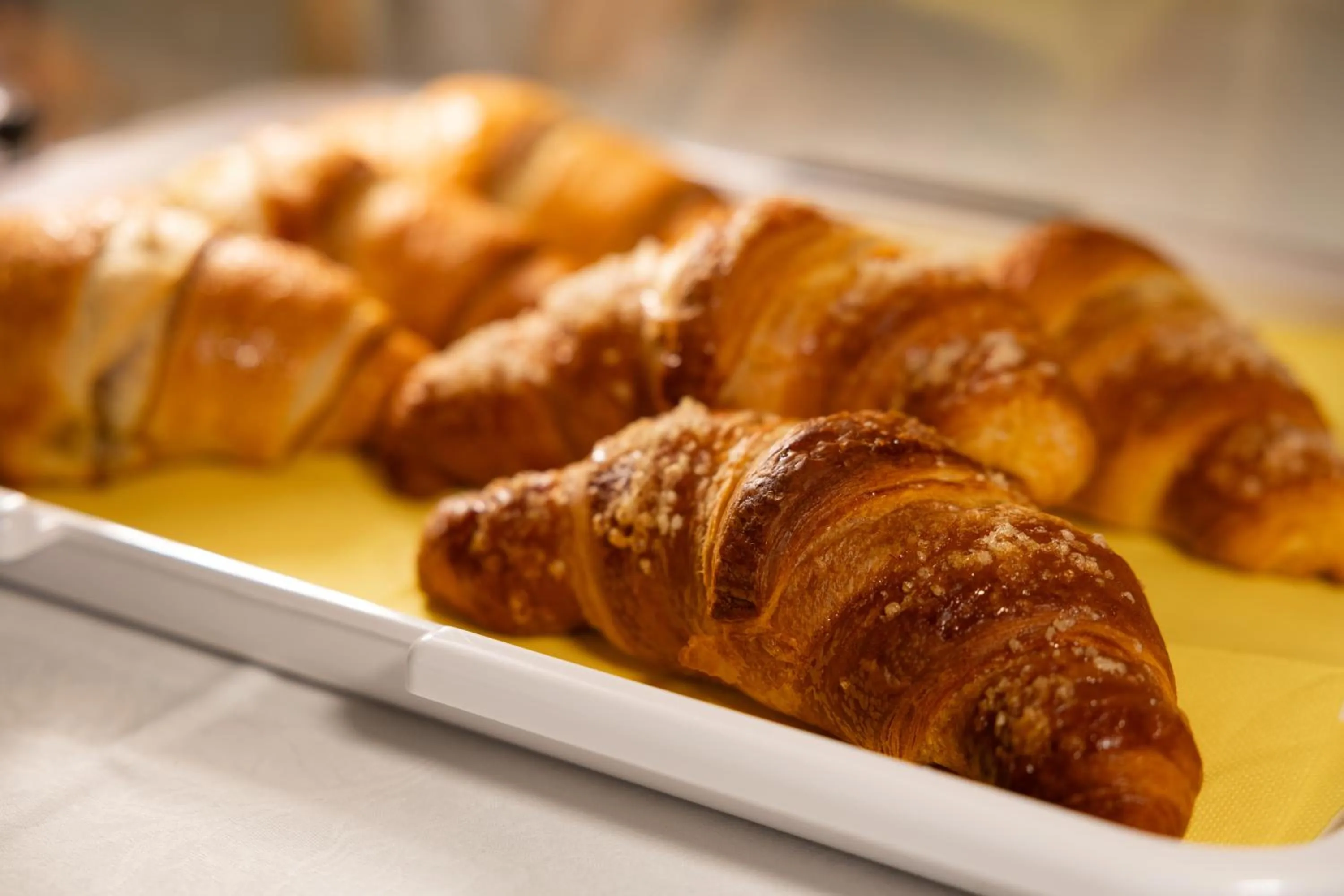 Hotel Motel Sporting