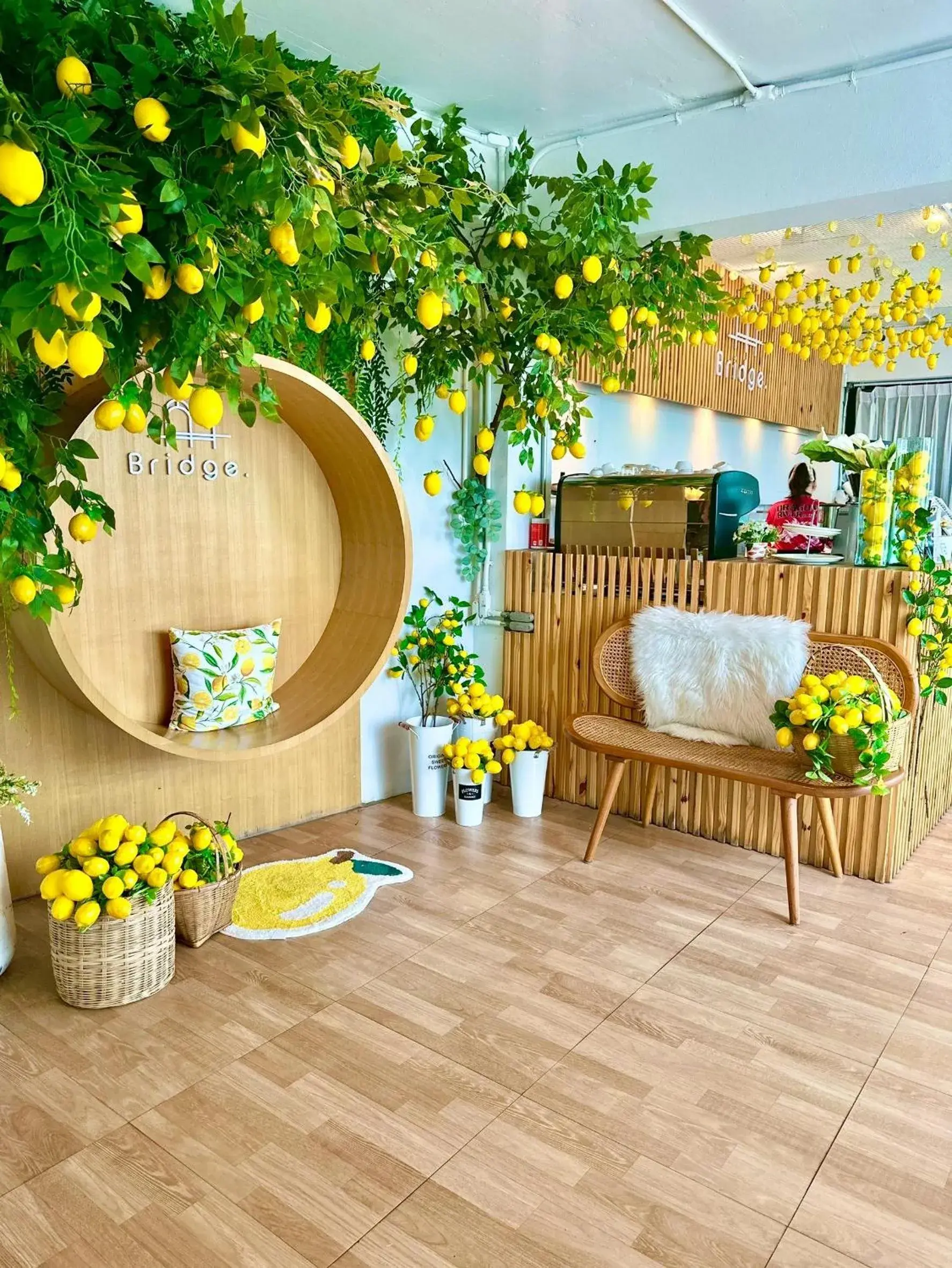 Restaurant/places to eat in Dragon River Avenue Restaurant/places to eat in Dragon River Avenue