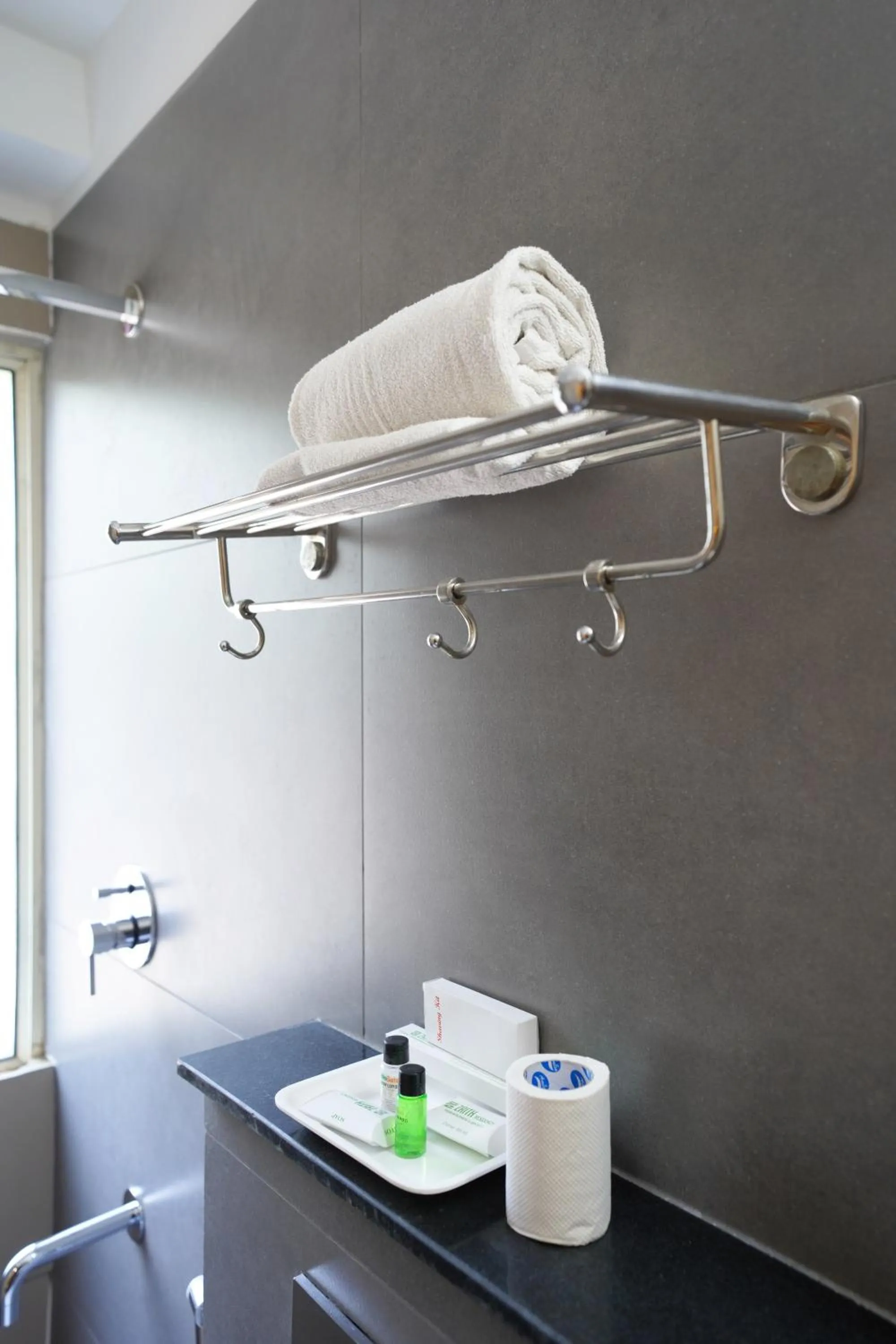 Toilet in Zaith Residency Near US Consulate & Apollo hospitals