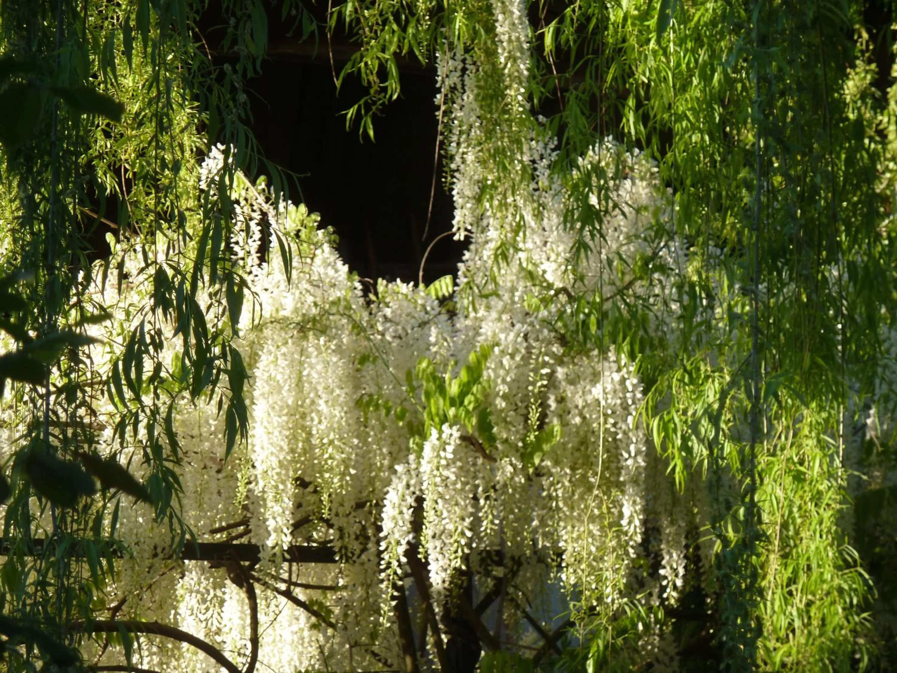 Garden in B&B Cascina Marie