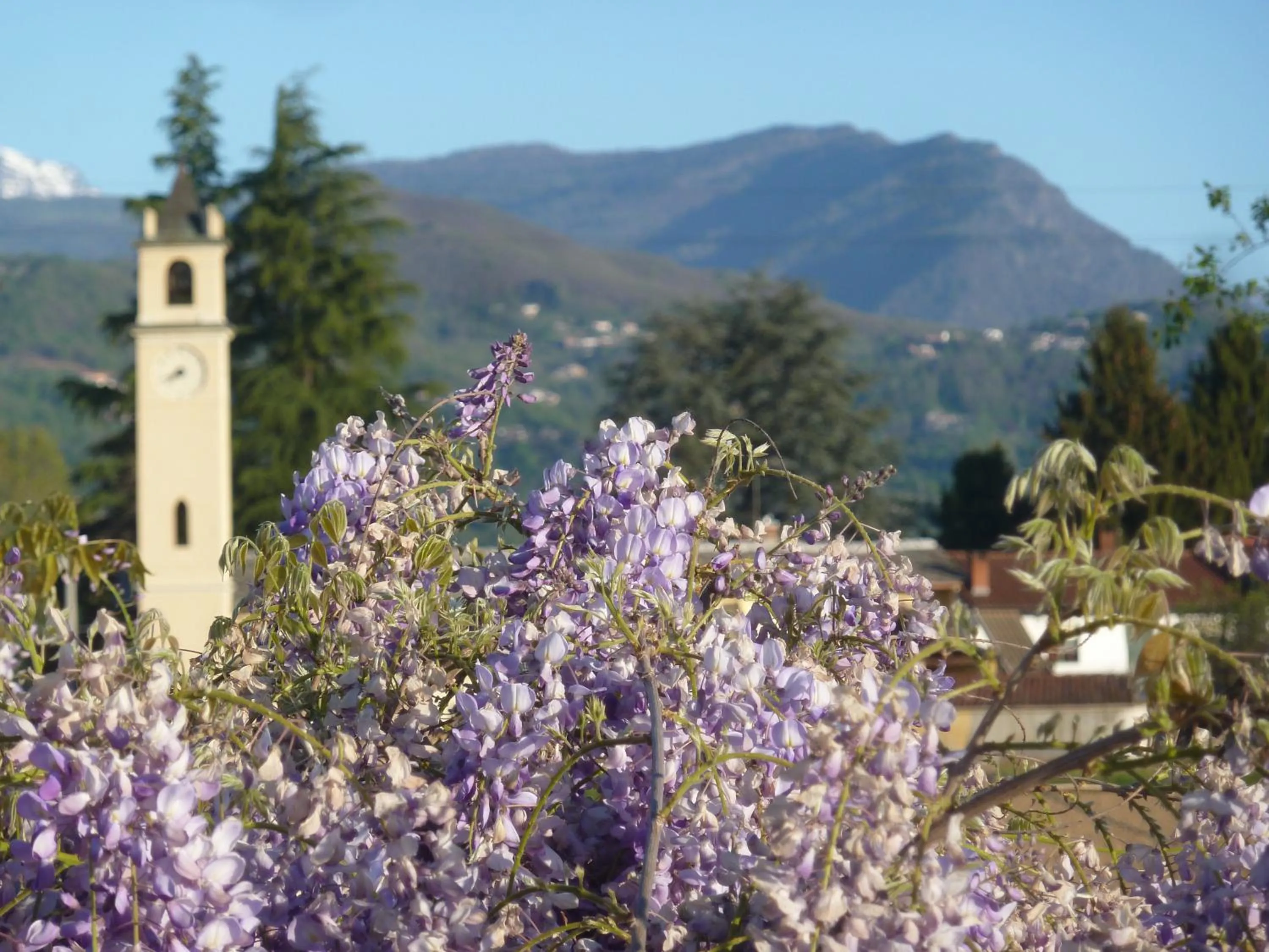 Natural landscape in B&B Cascina Marie