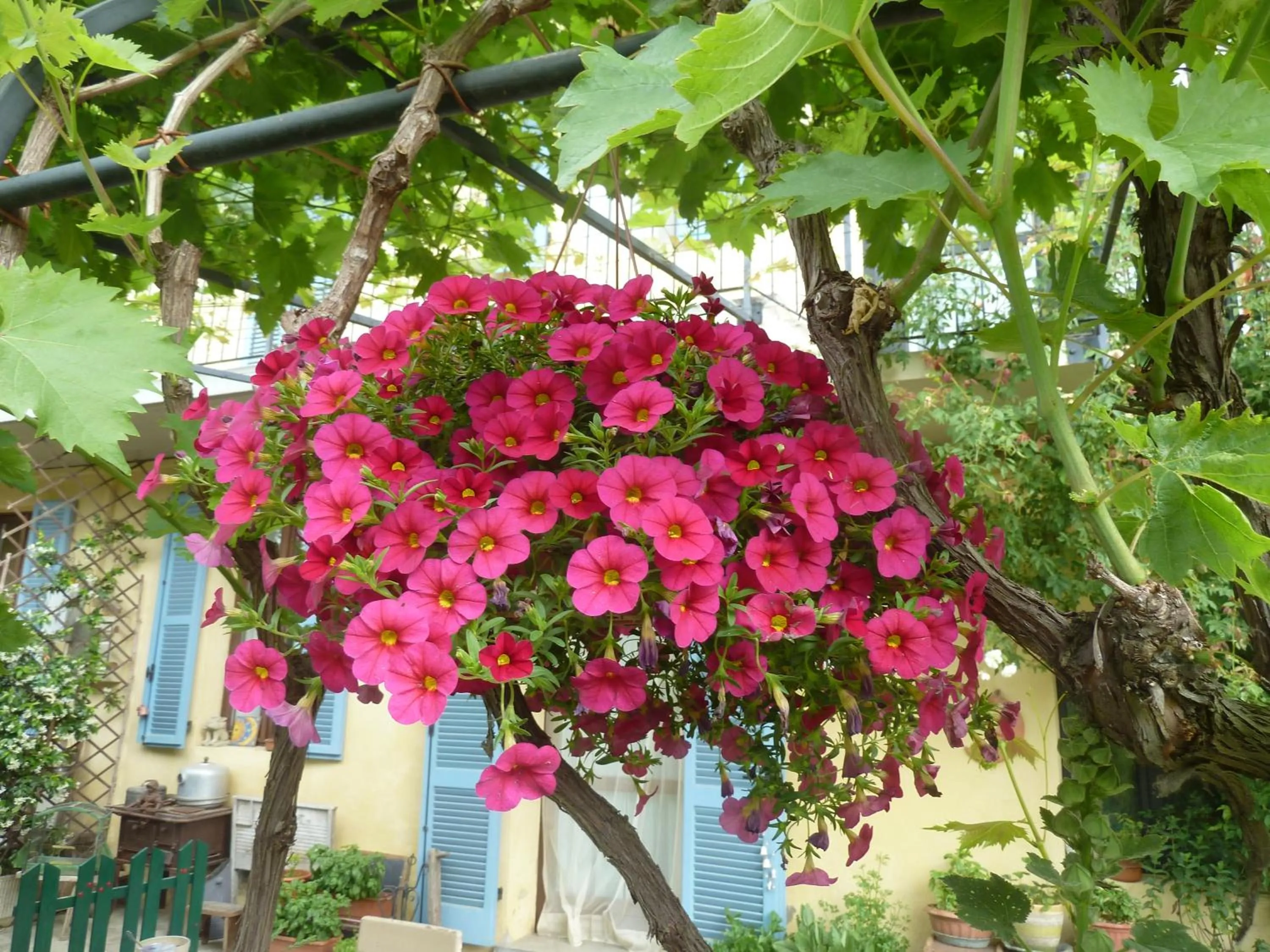 Garden in B&B Cascina Marie