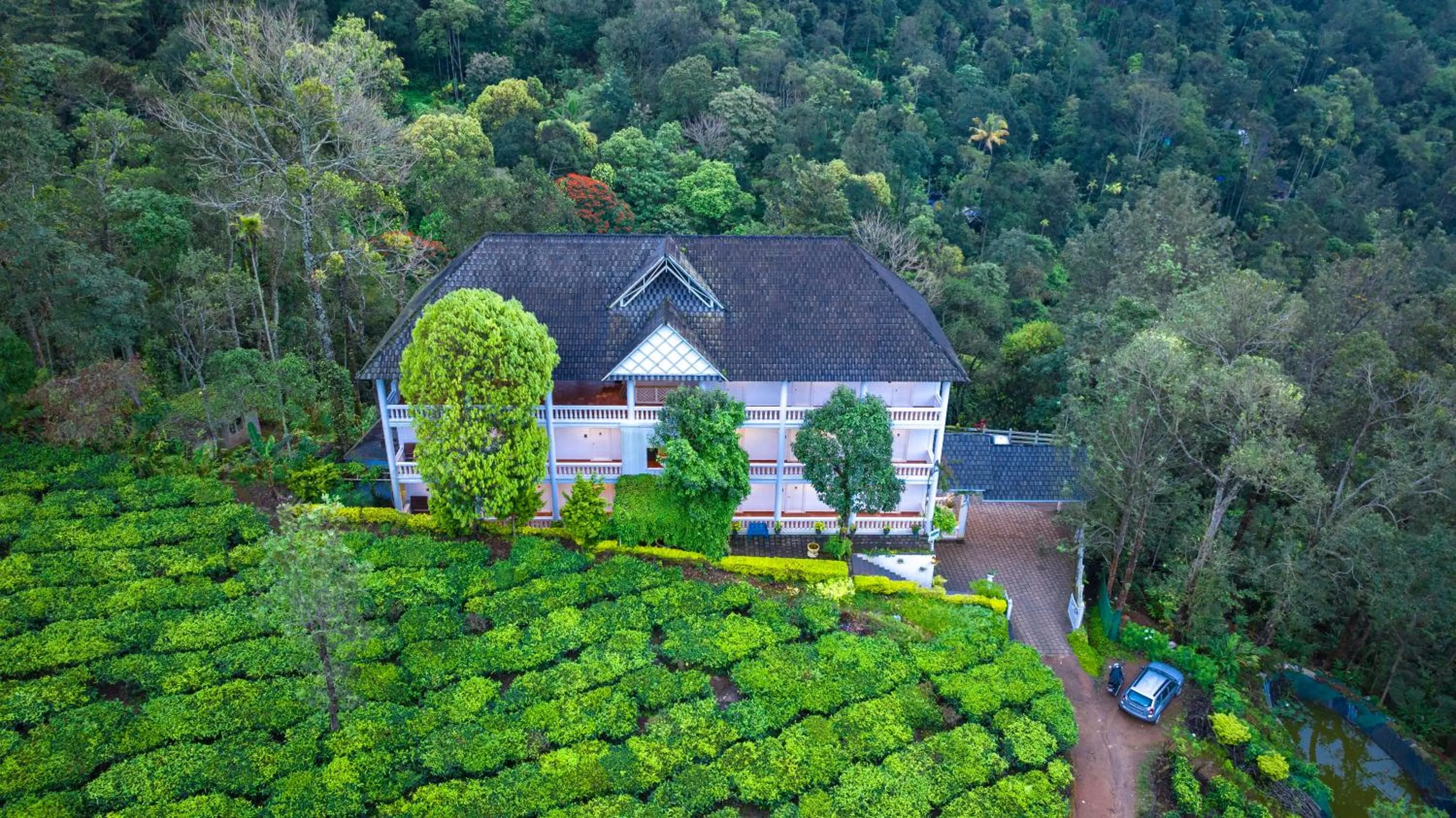 Property building in Tea Harvester
