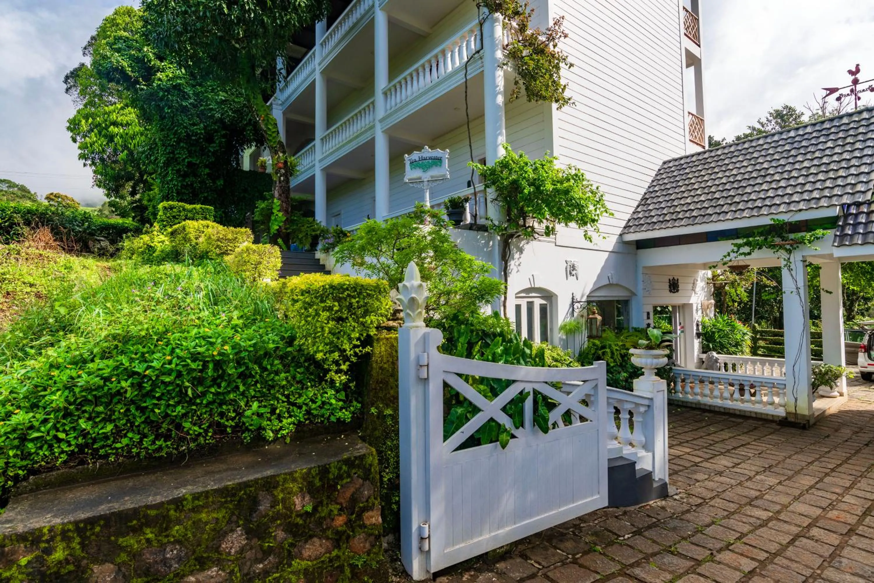 Property building in Tea Harvester