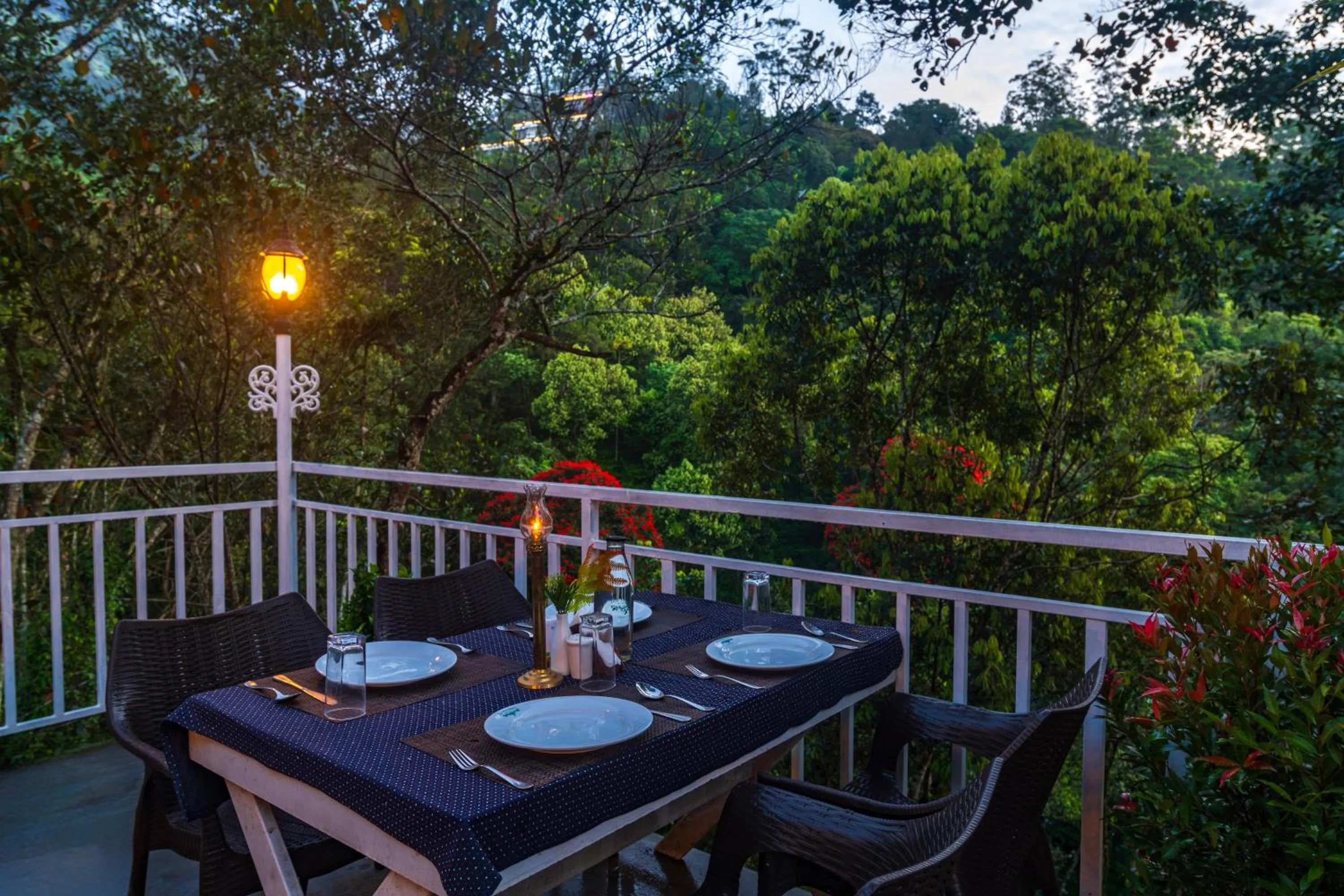 Restaurant/places to eat in Tea Harvester