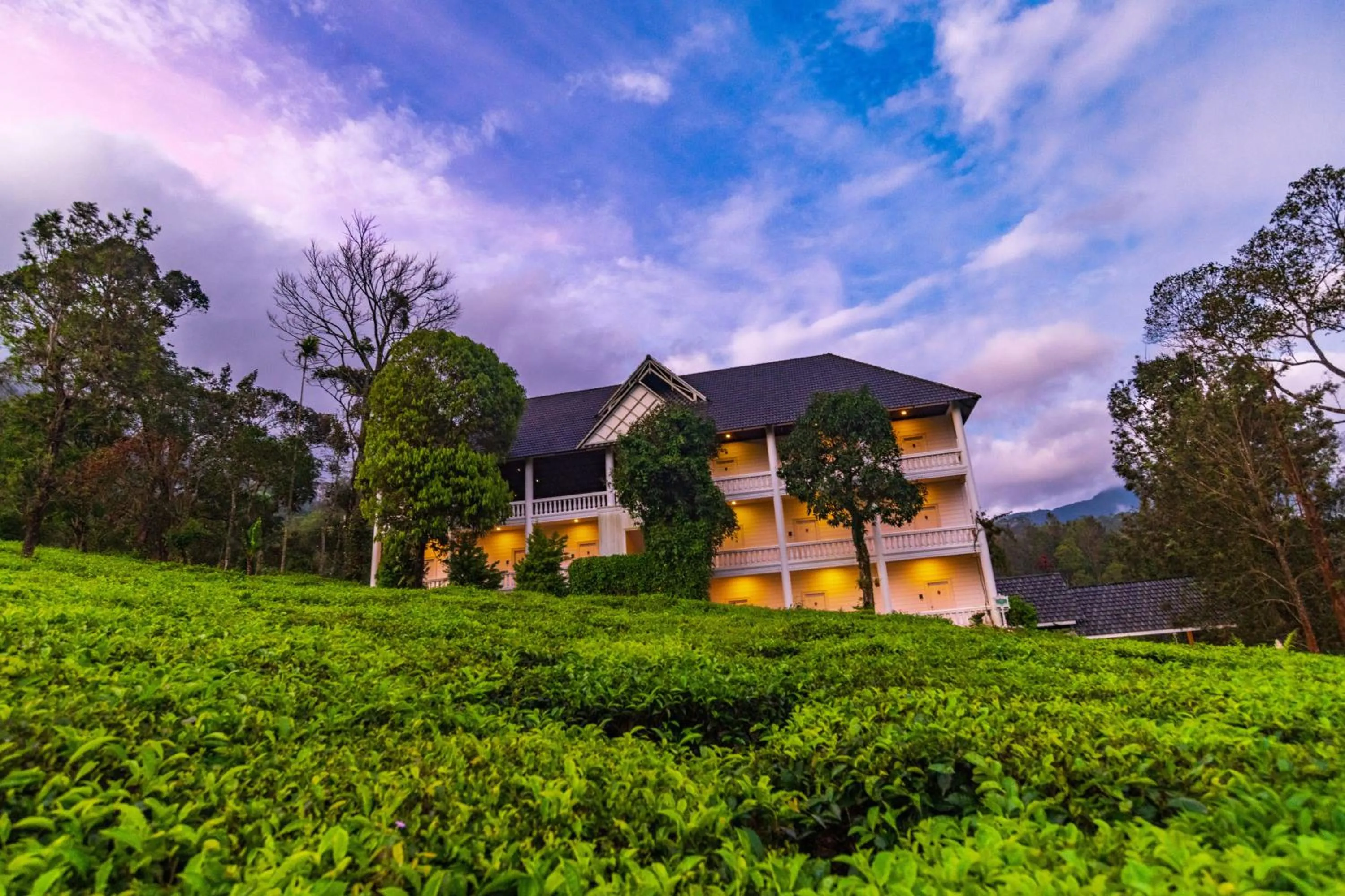 Property building in Tea Harvester