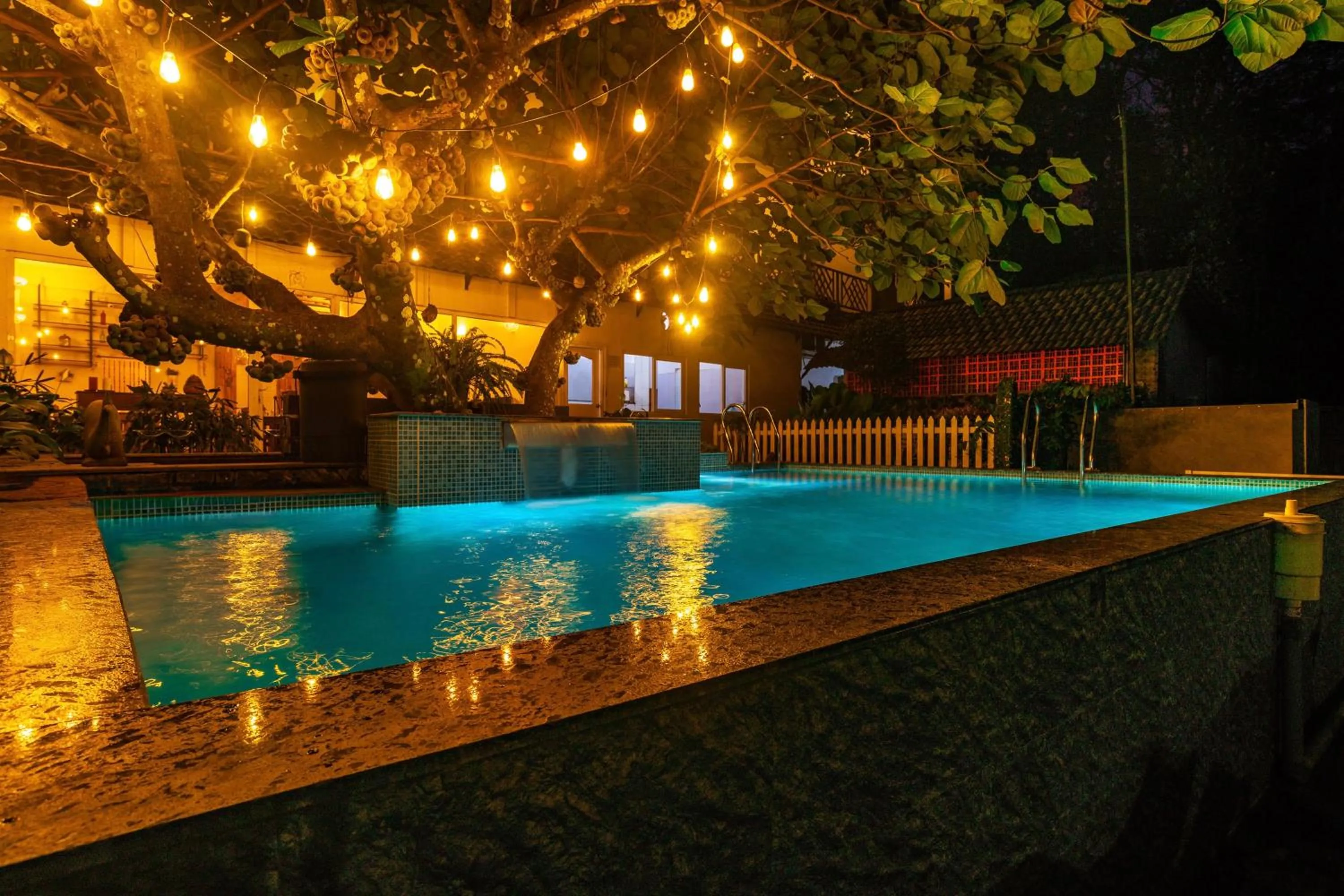 Pool view in Tea Harvester