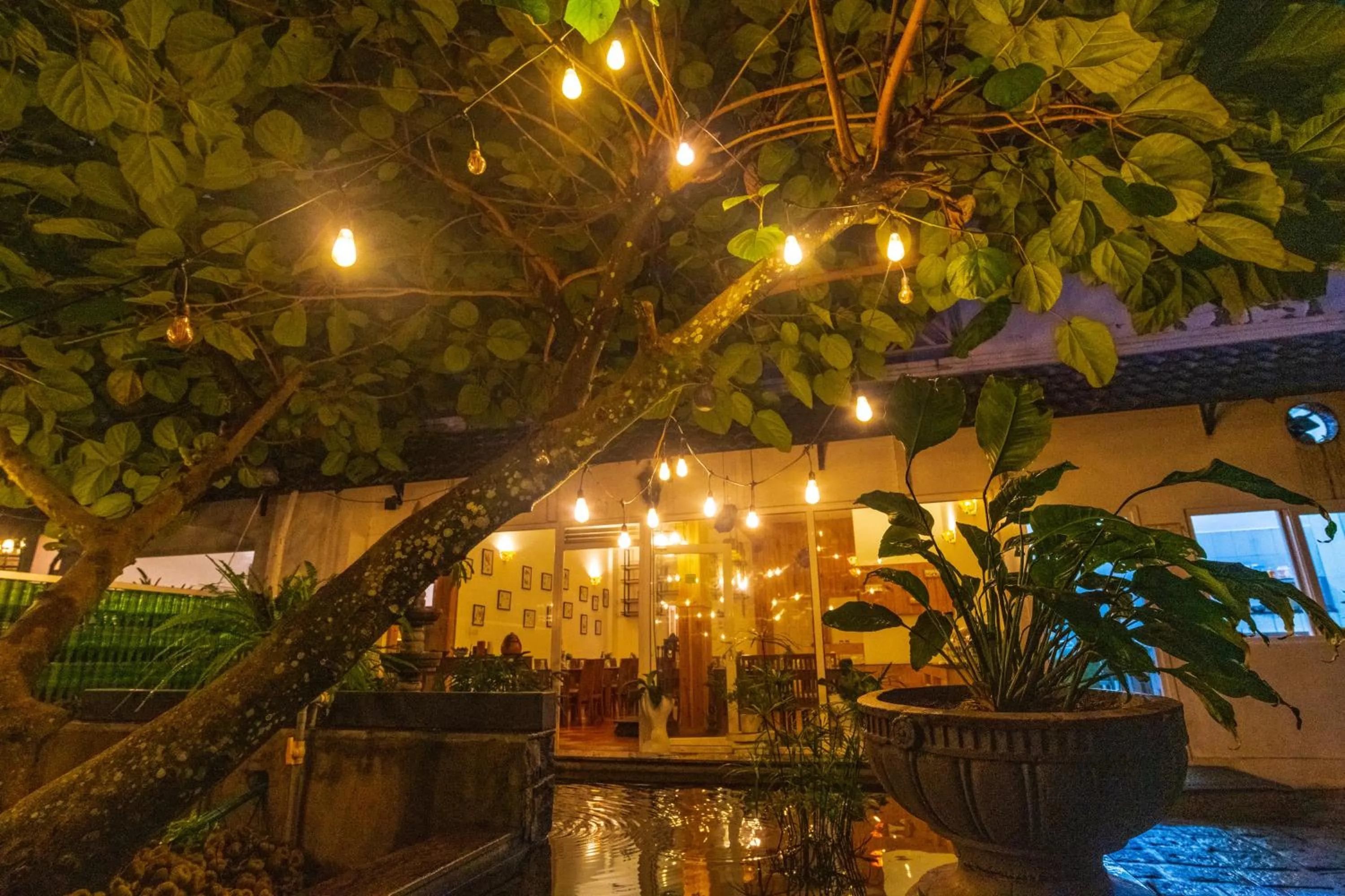 Natural landscape in Tea Harvester