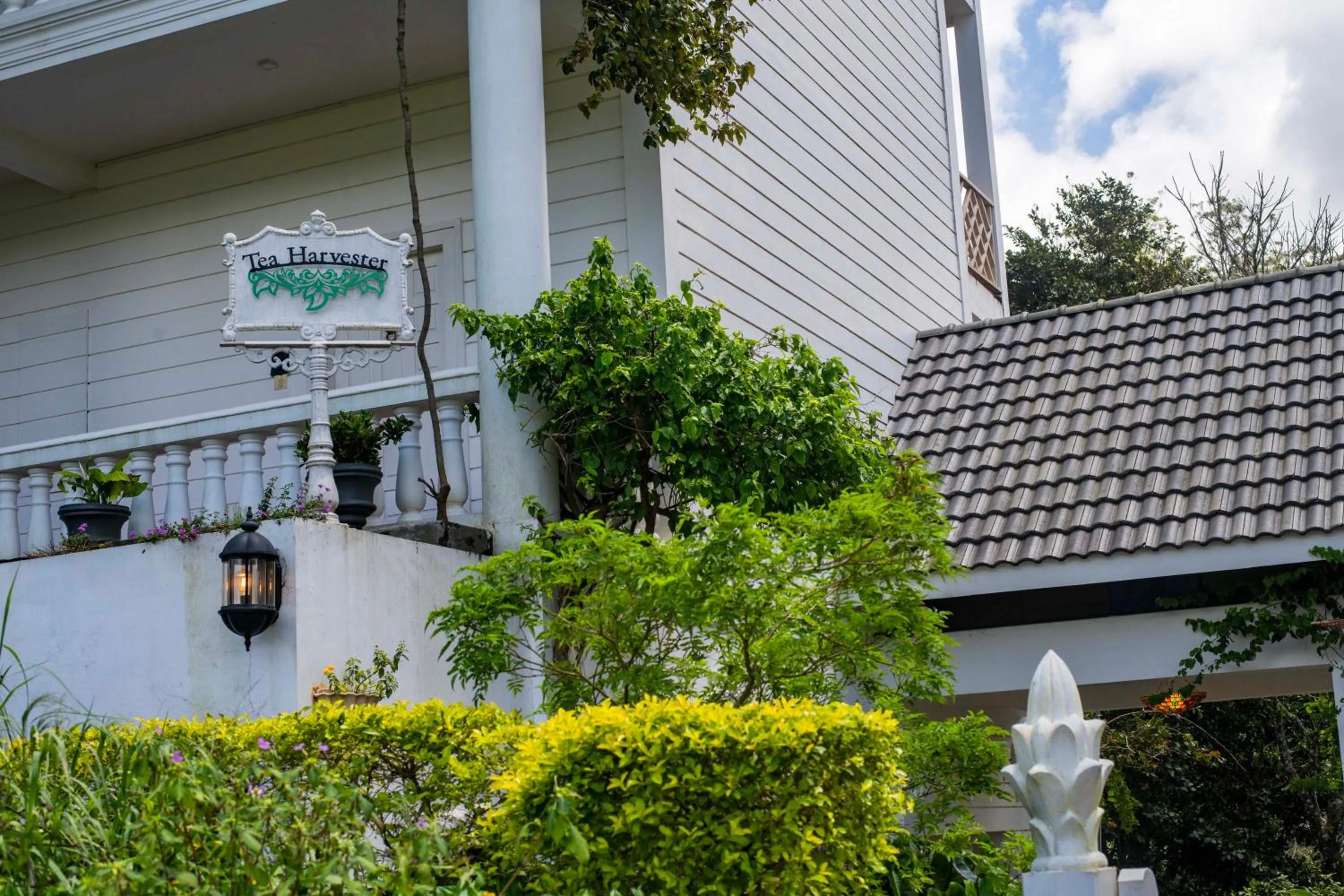 Property building in Tea Harvester