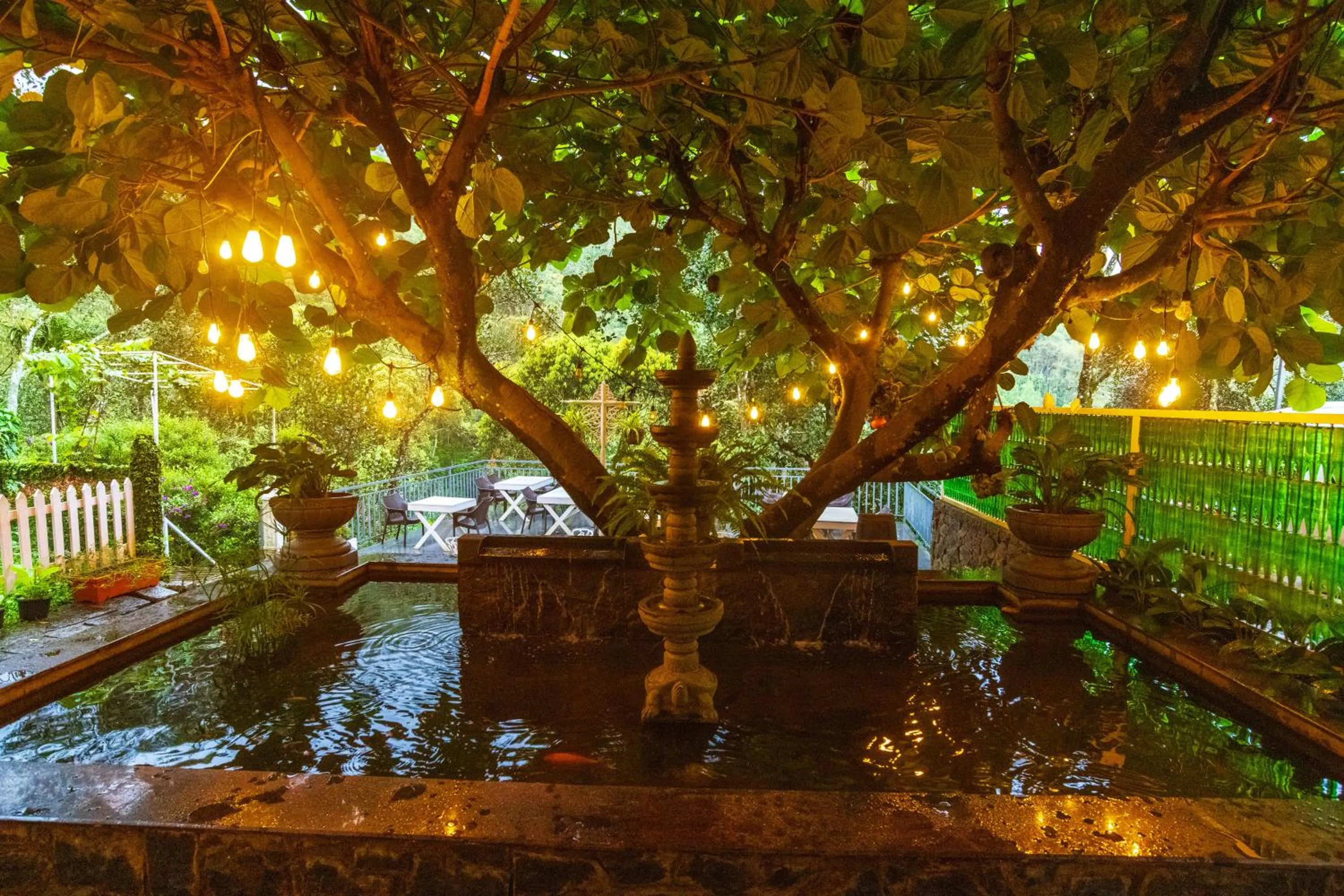 Day in Tea Harvester