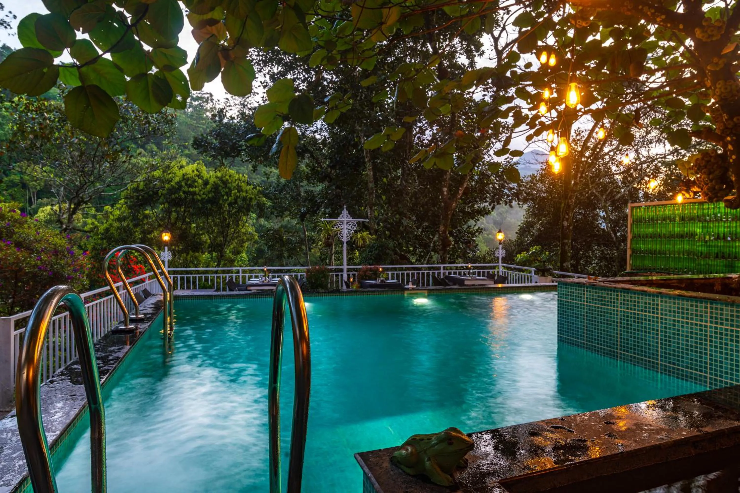 Swimming pool in Tea Harvester