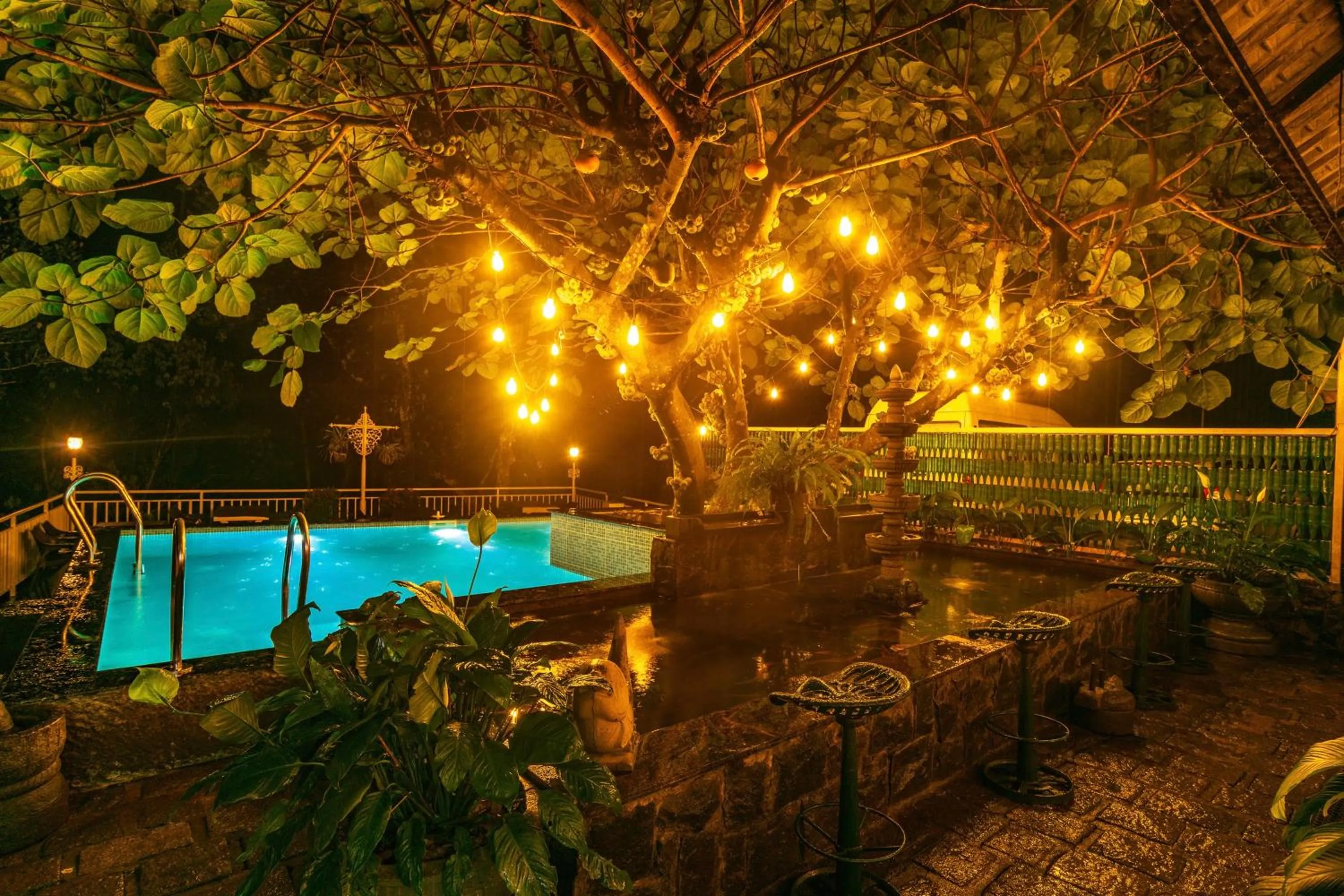 Pool view in Tea Harvester