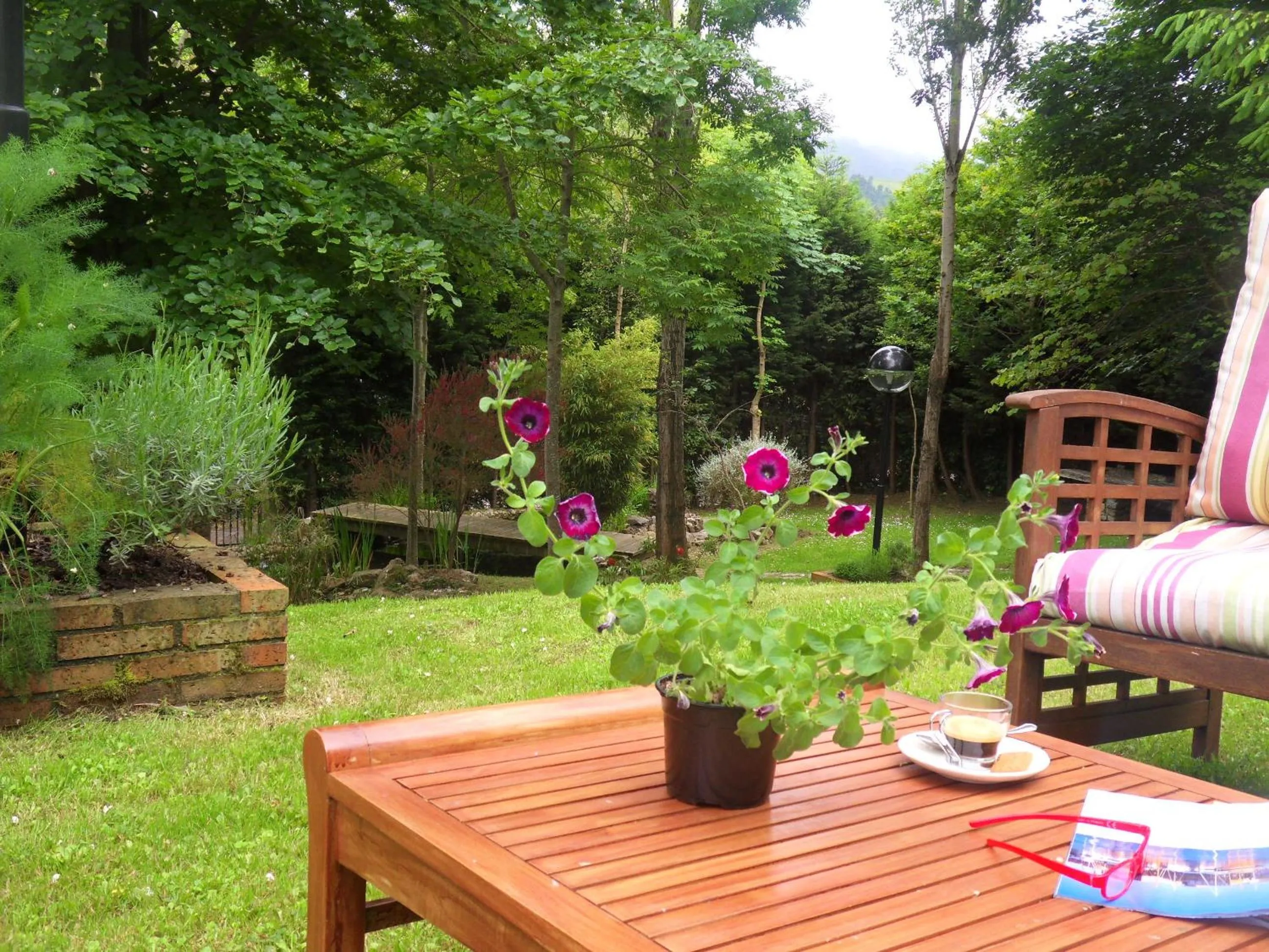 Garden in Hotel El Carmen