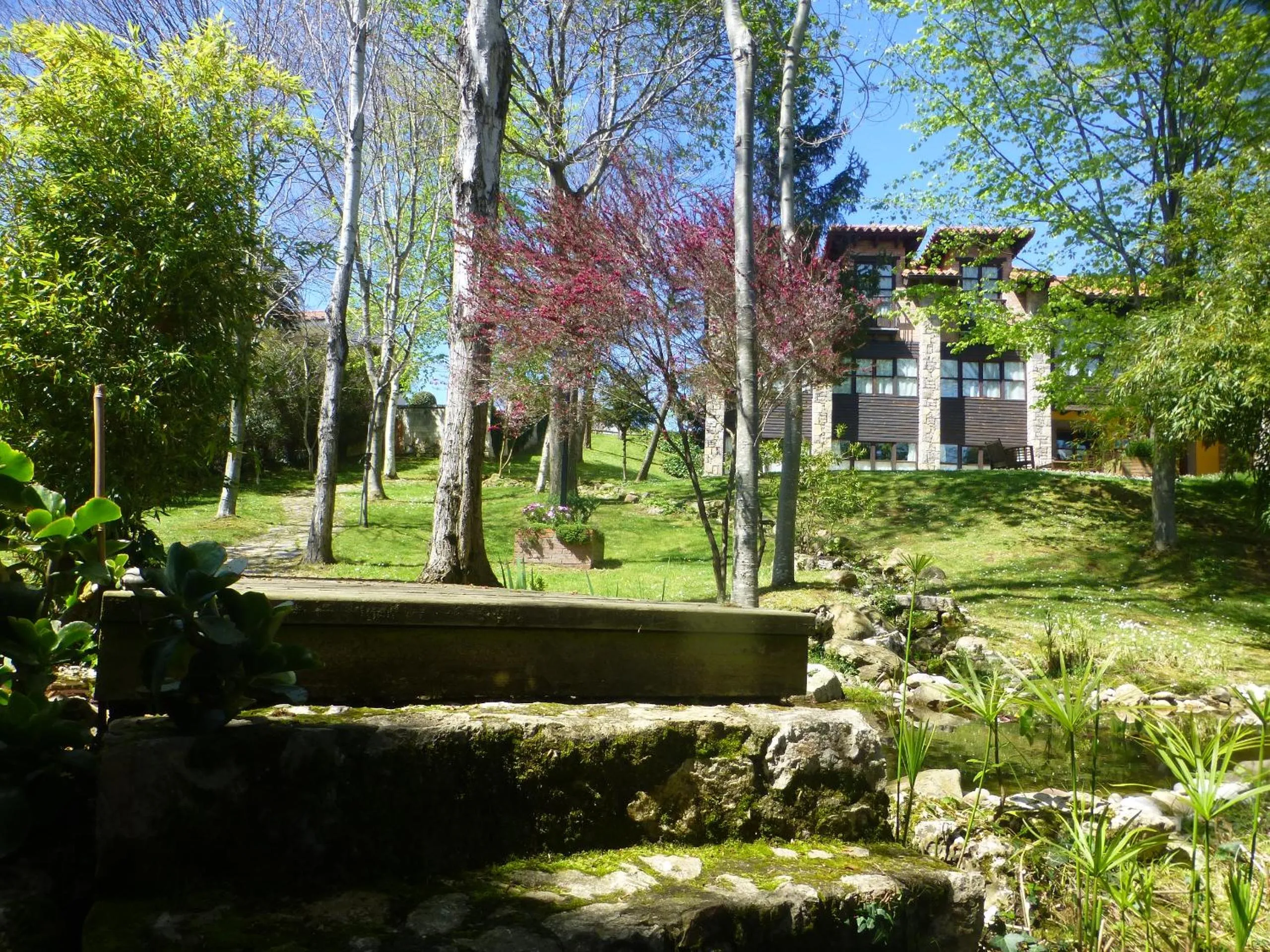 Garden in Hotel El Carmen