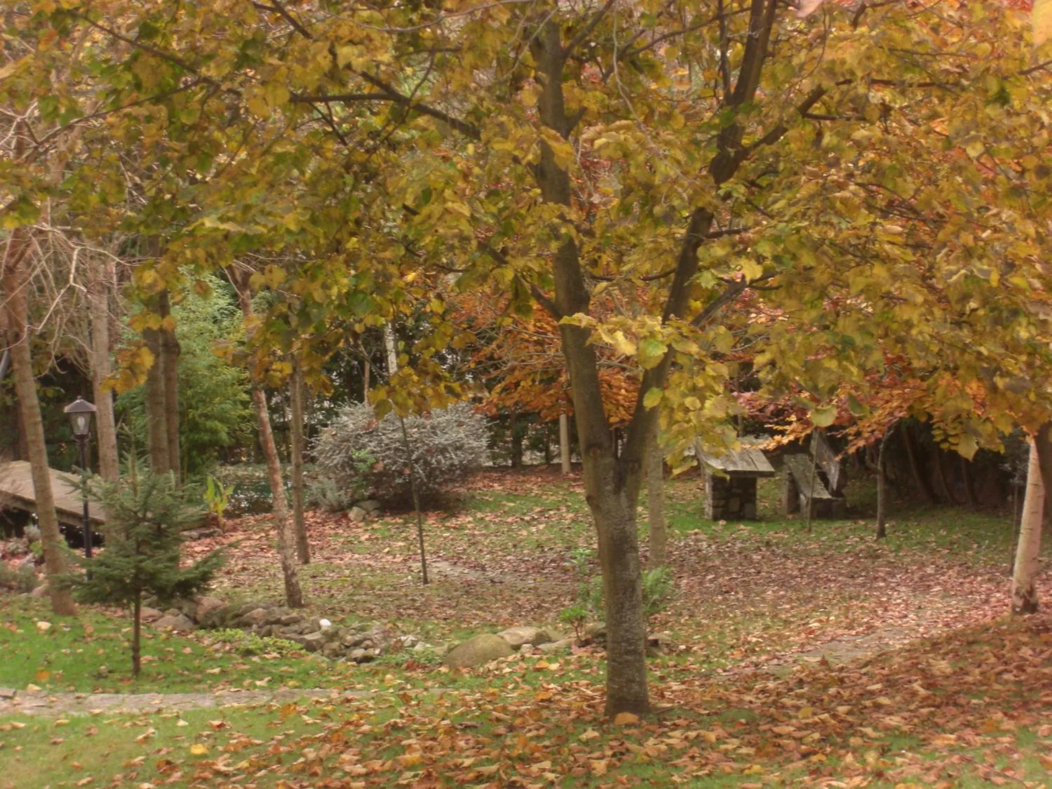 Natural landscape in Hotel El Carmen