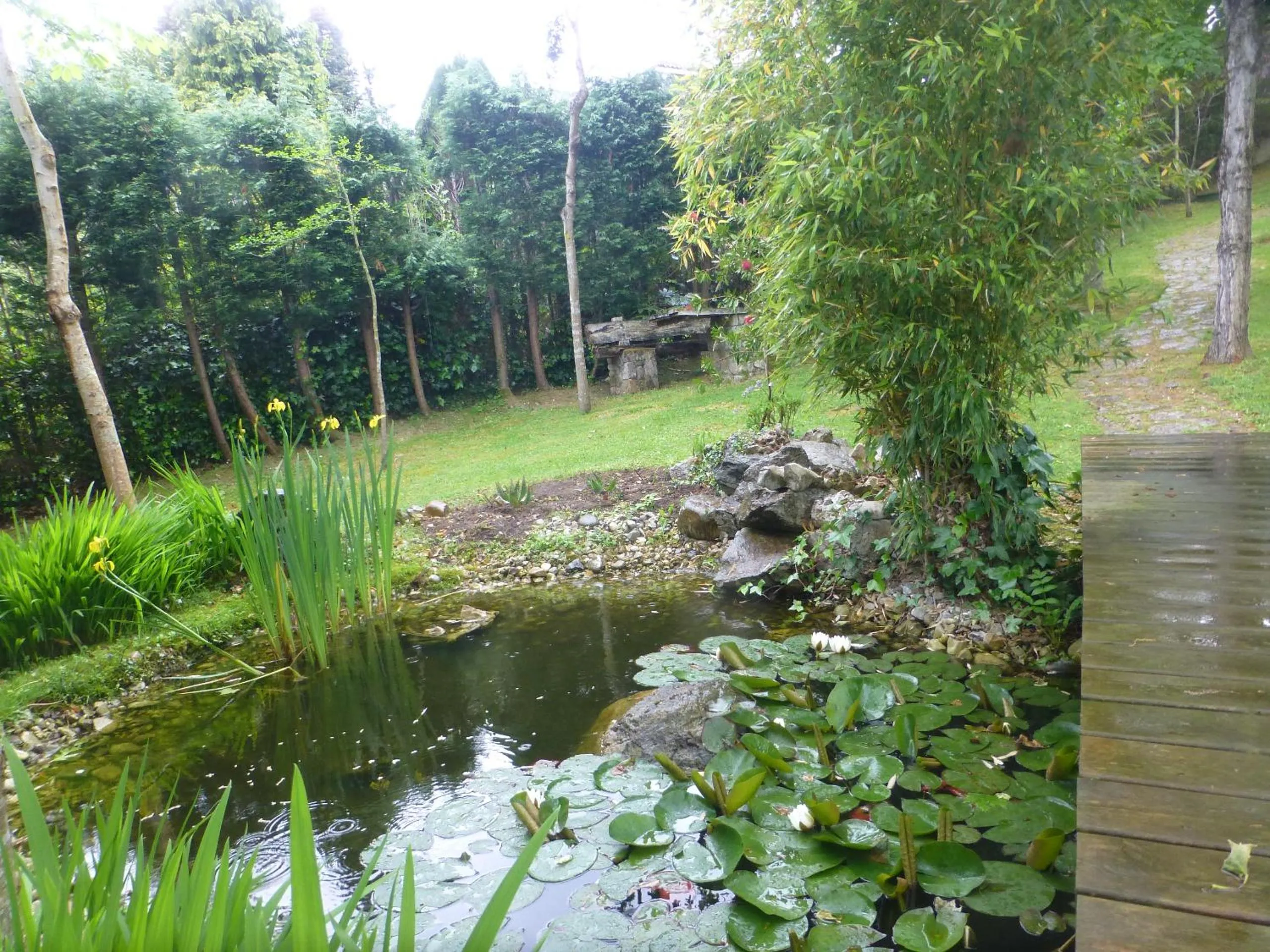 Garden in Hotel El Carmen
