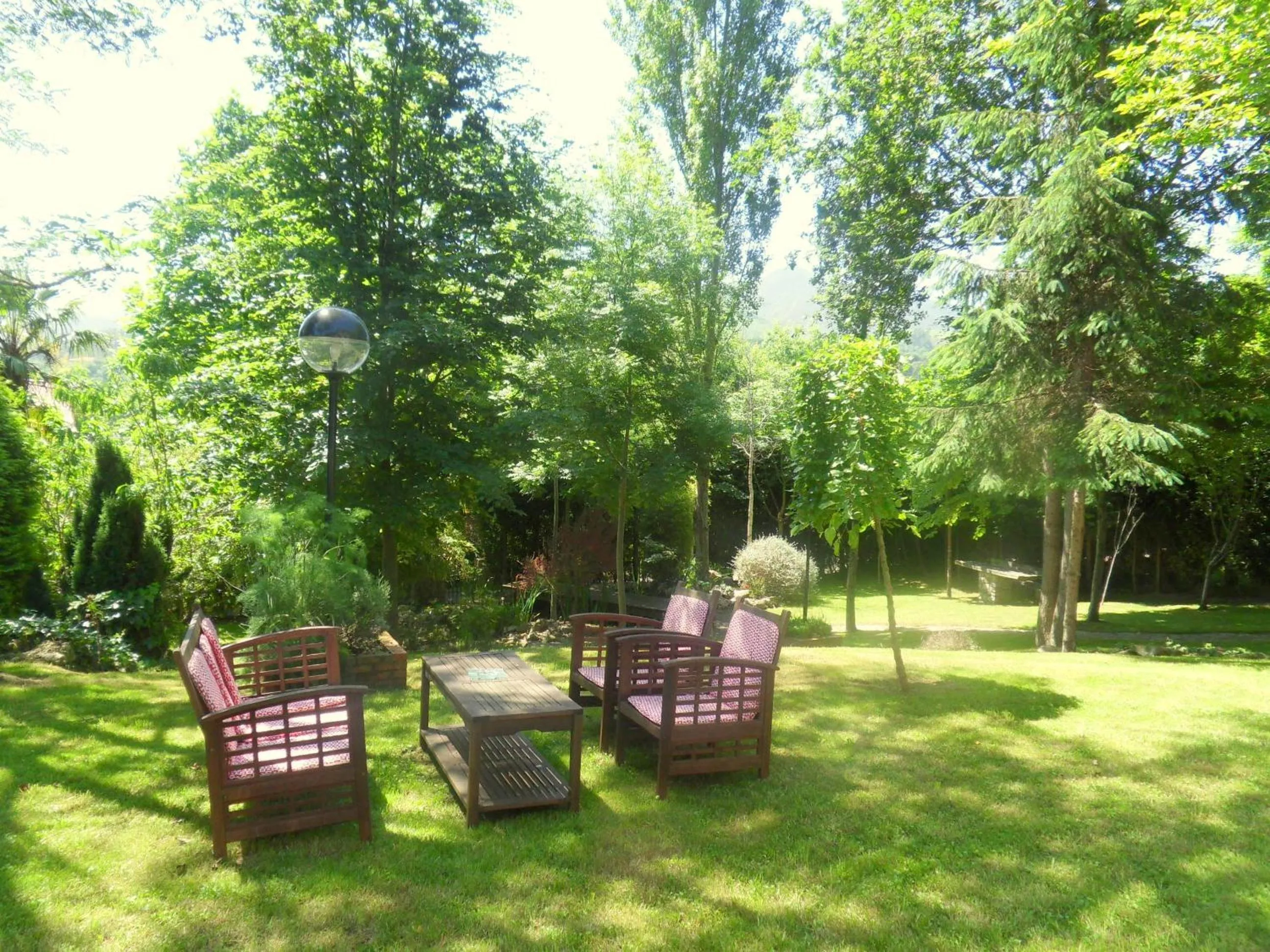 Garden in Hotel El Carmen