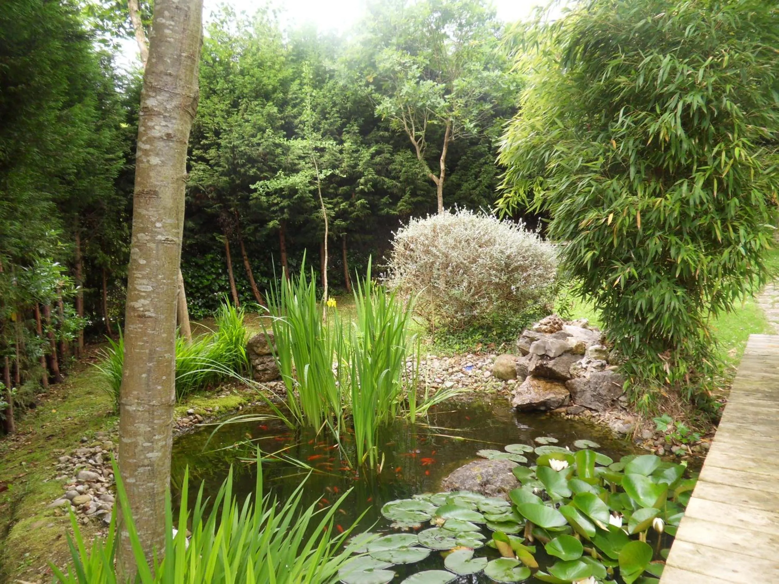 Garden in Hotel El Carmen