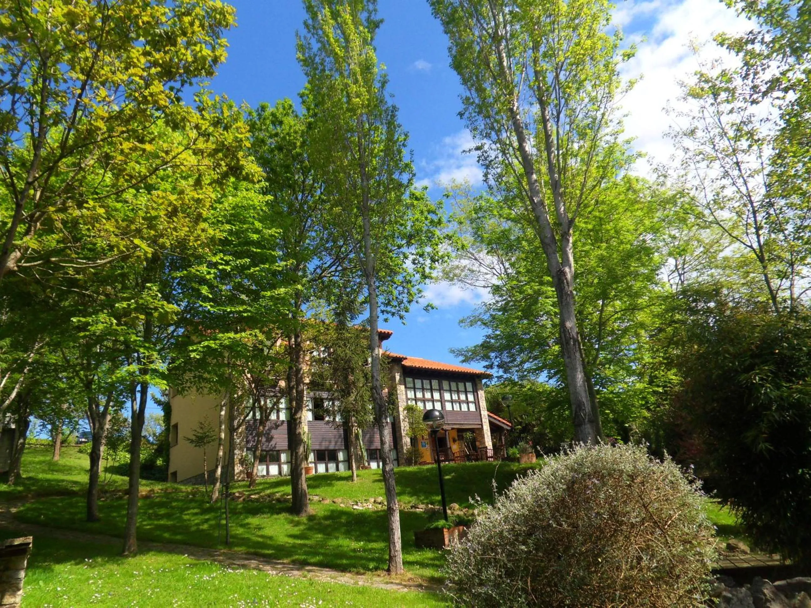 Garden in Hotel El Carmen
