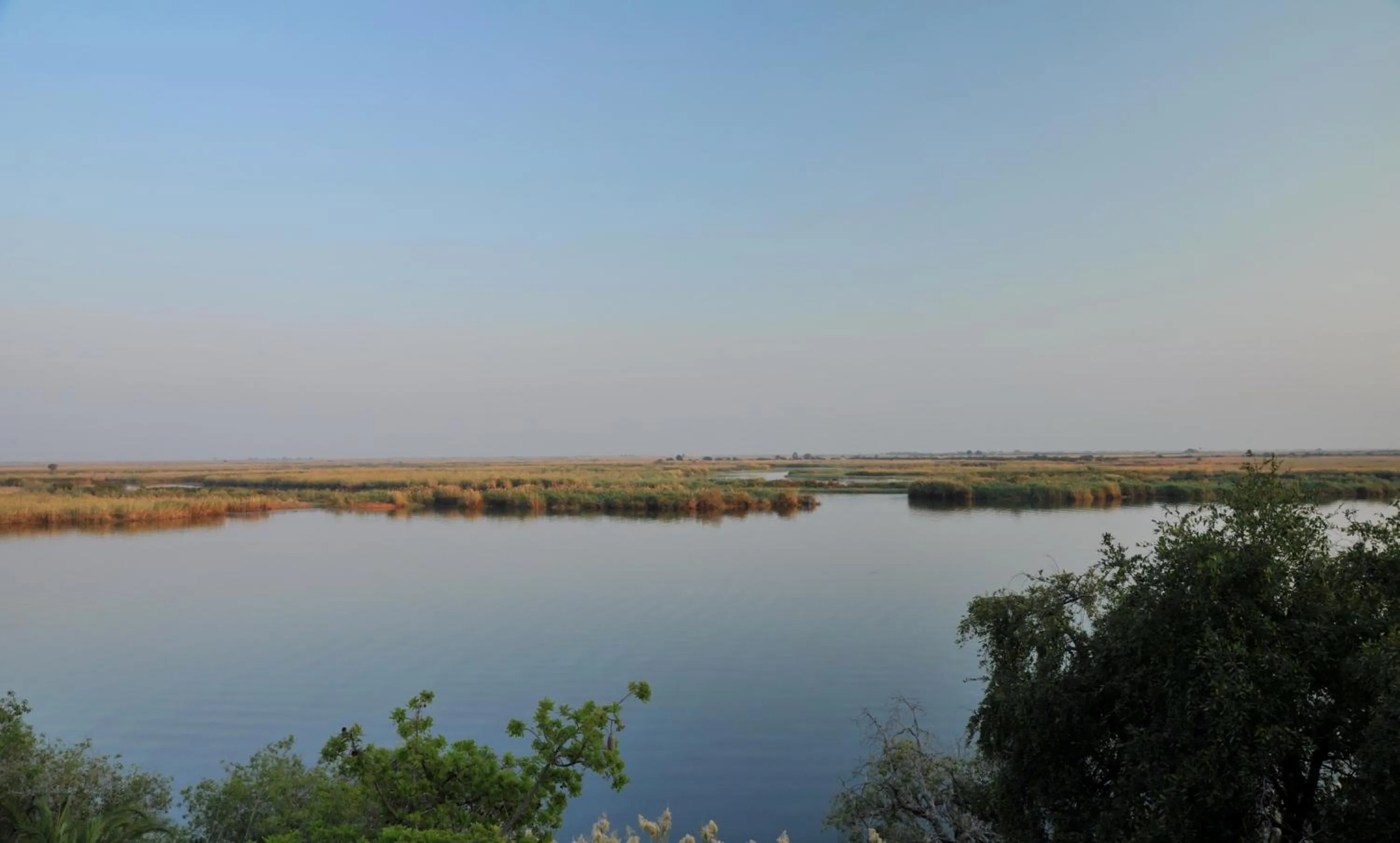 Natural landscape in Cresta Mowana Safari Resort & Spa