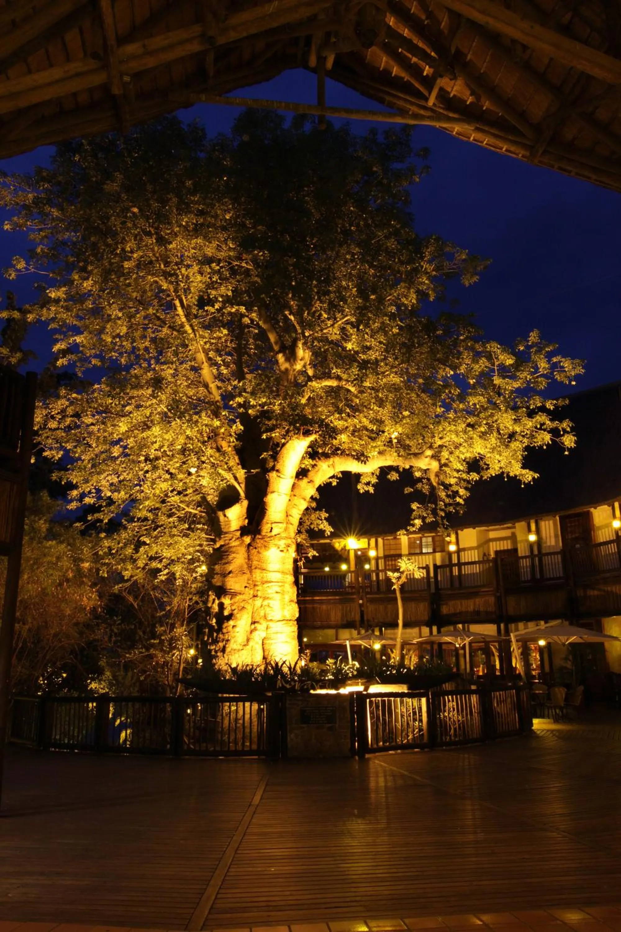 Patio in Cresta Mowana Safari Resort & Spa
