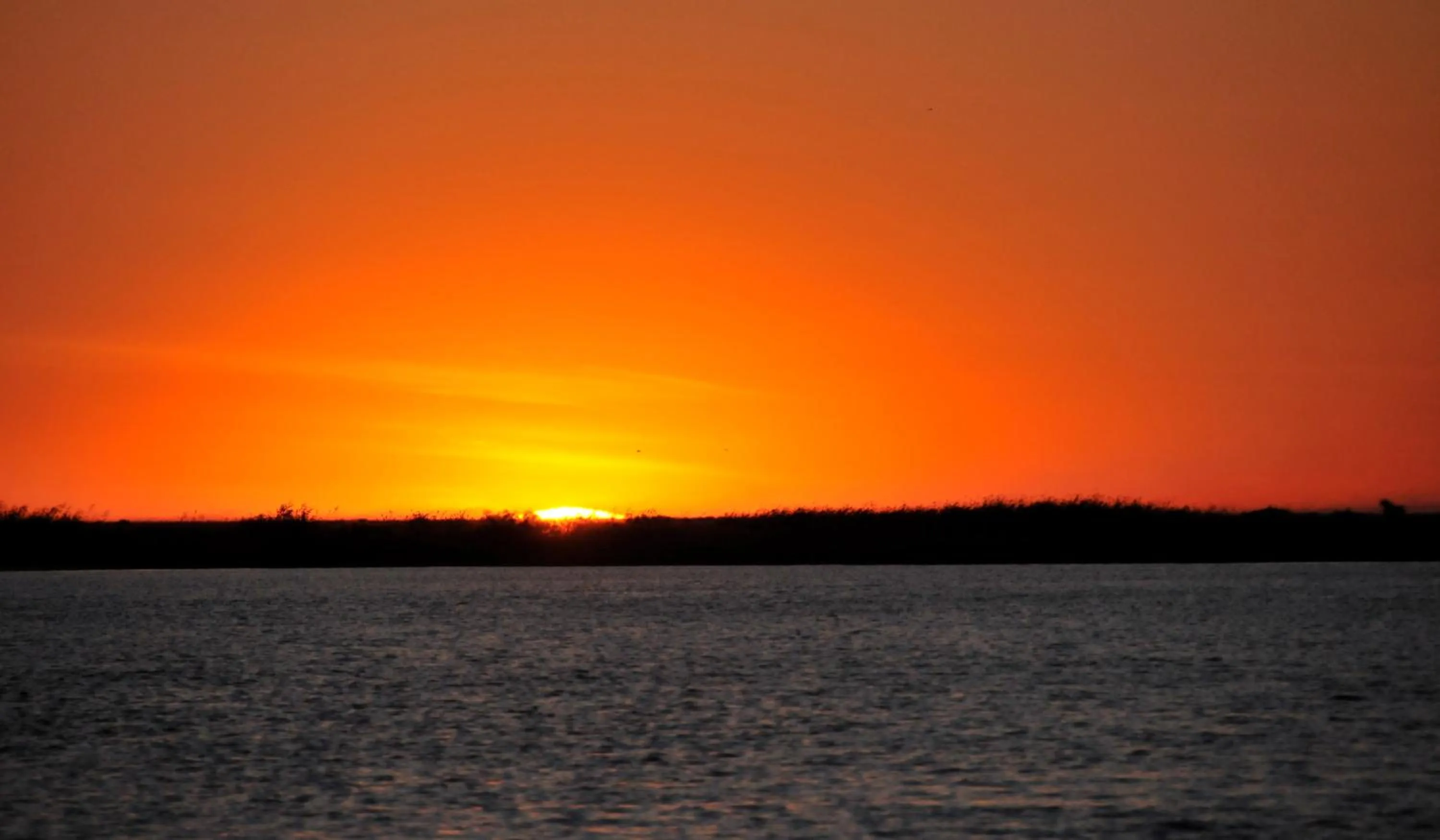 Natural landscape in Cresta Mowana Safari Resort & Spa