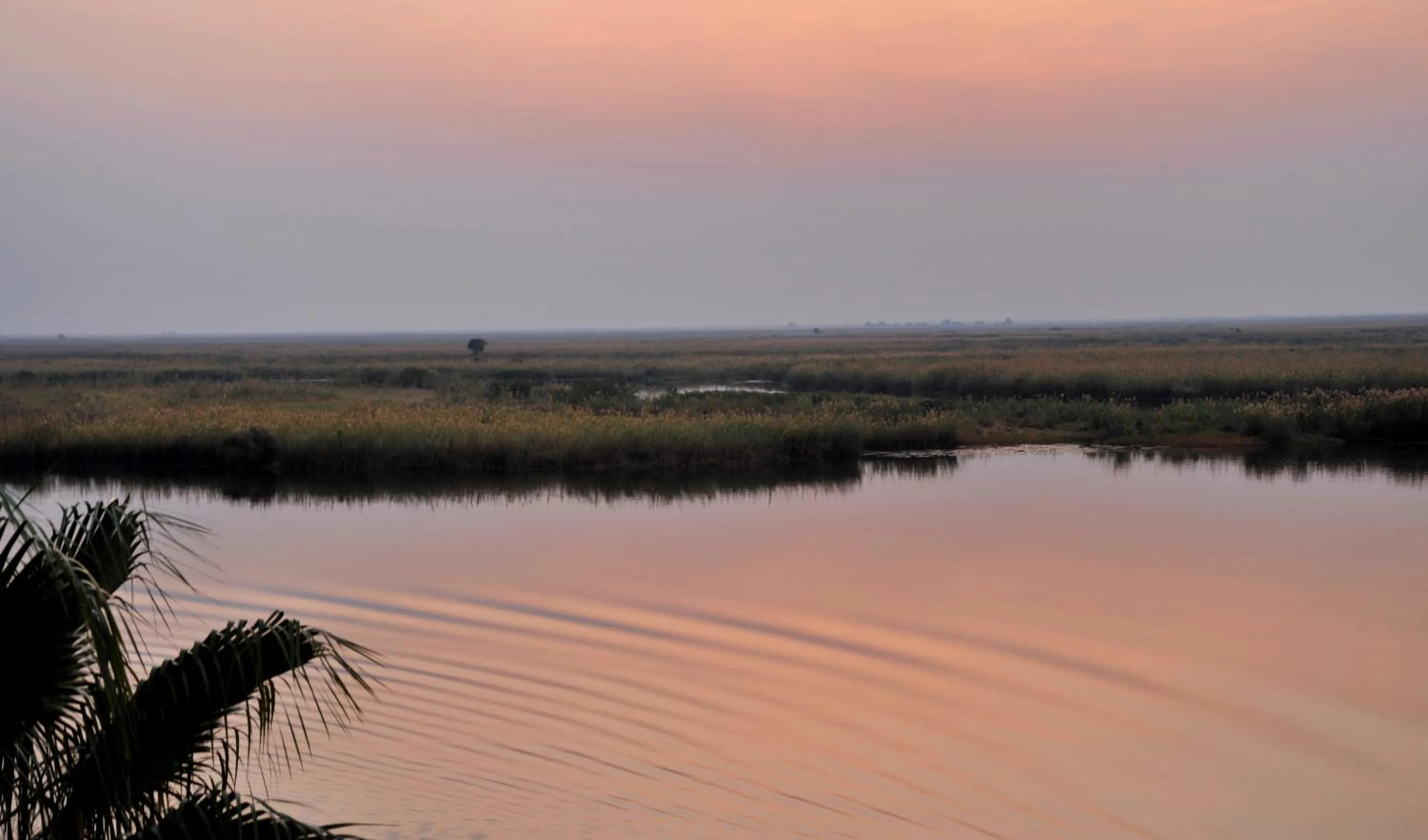 Natural landscape in Cresta Mowana Safari Resort & Spa