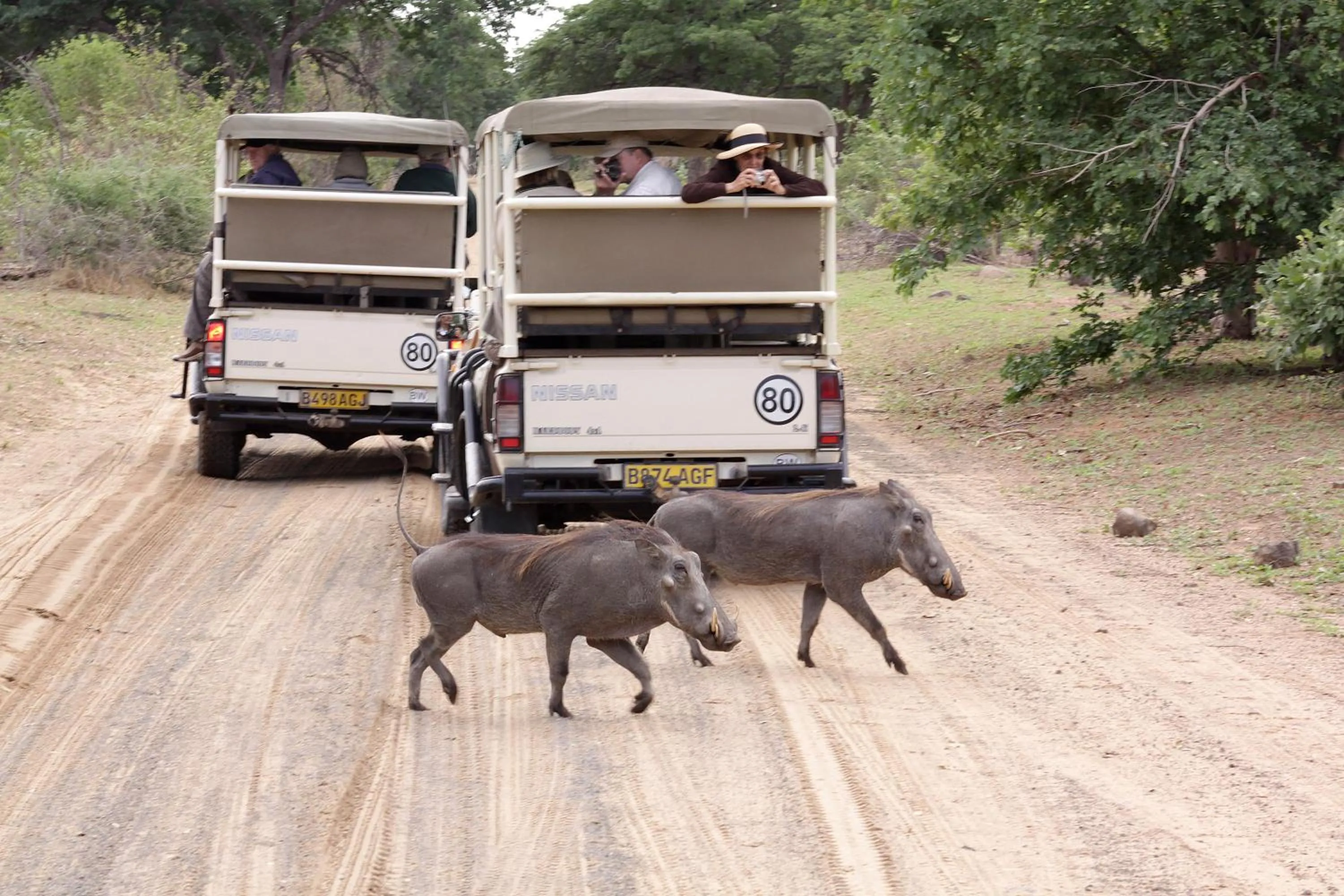 Natural landscape in Cresta Mowana Safari Resort & Spa